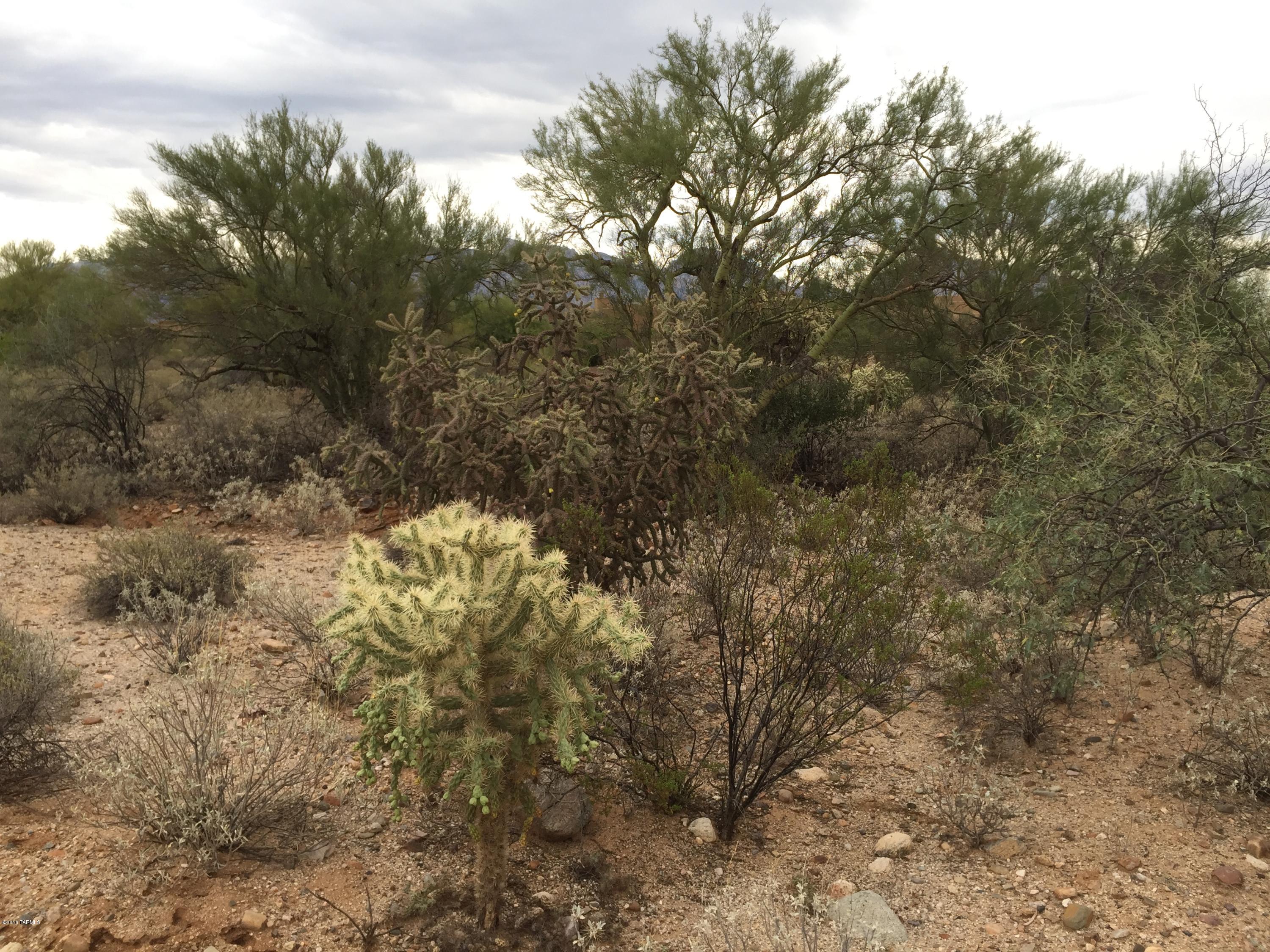 Coyote Ridge (1-109) - Land