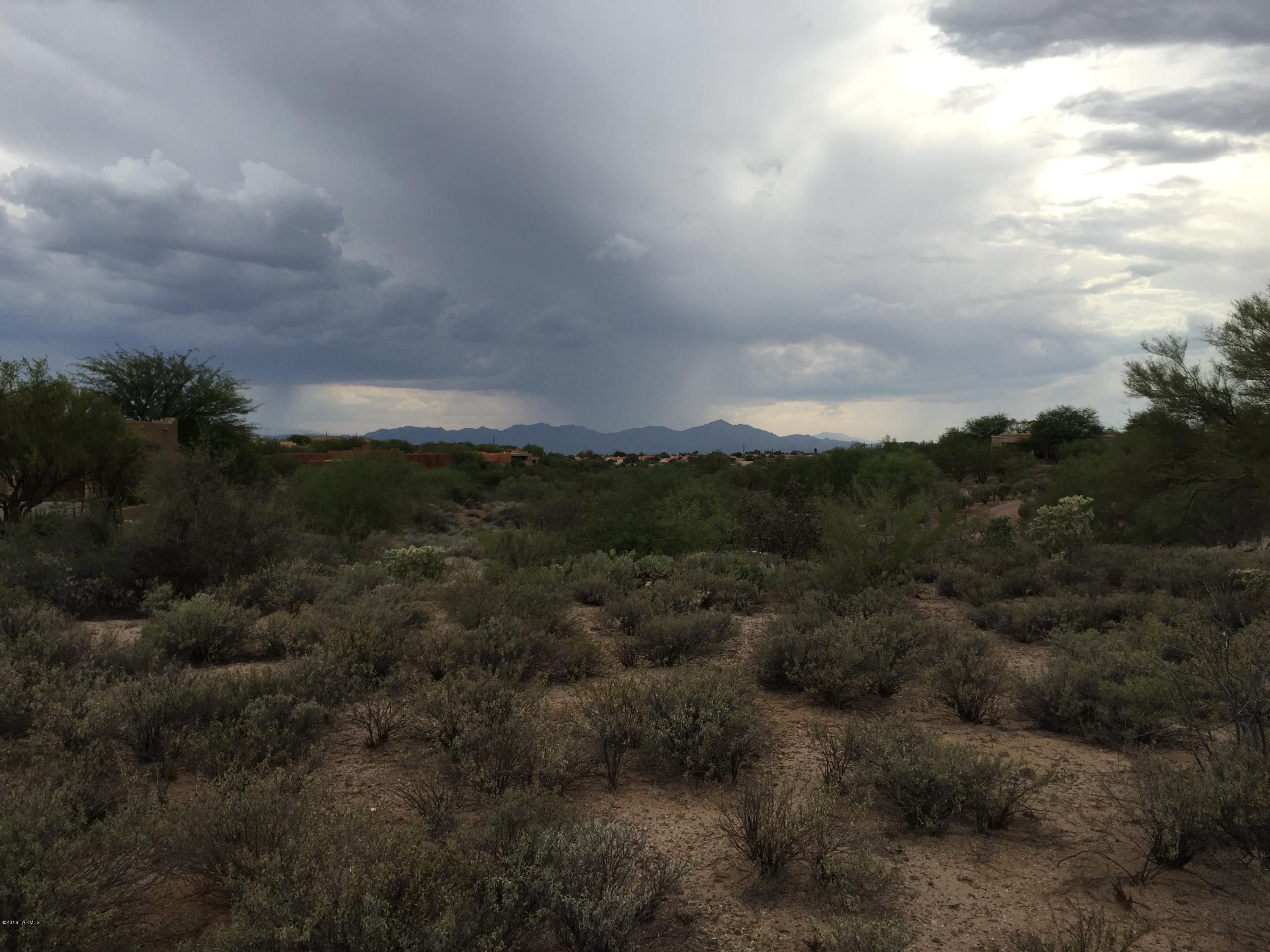 Coyote Ridge (1-109) - Land