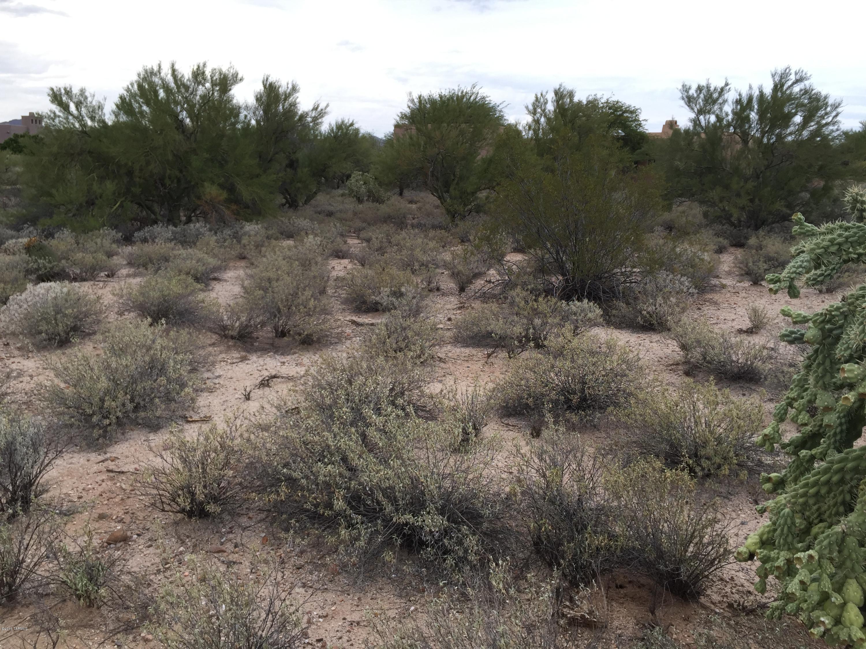Coyote Ridge (1-109) - Land