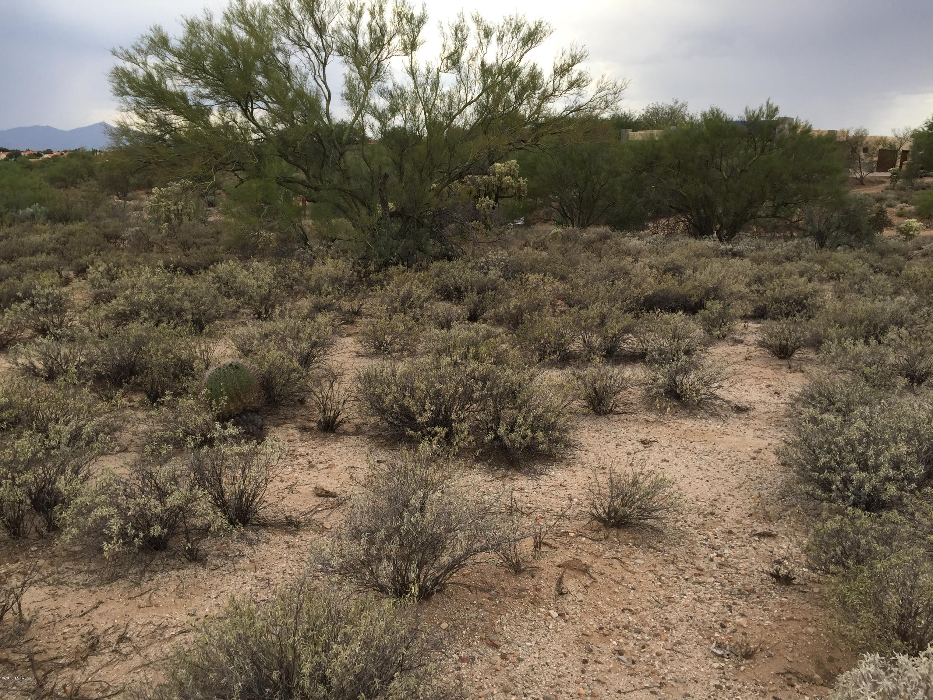 Coyote Ridge (1-109) - Land