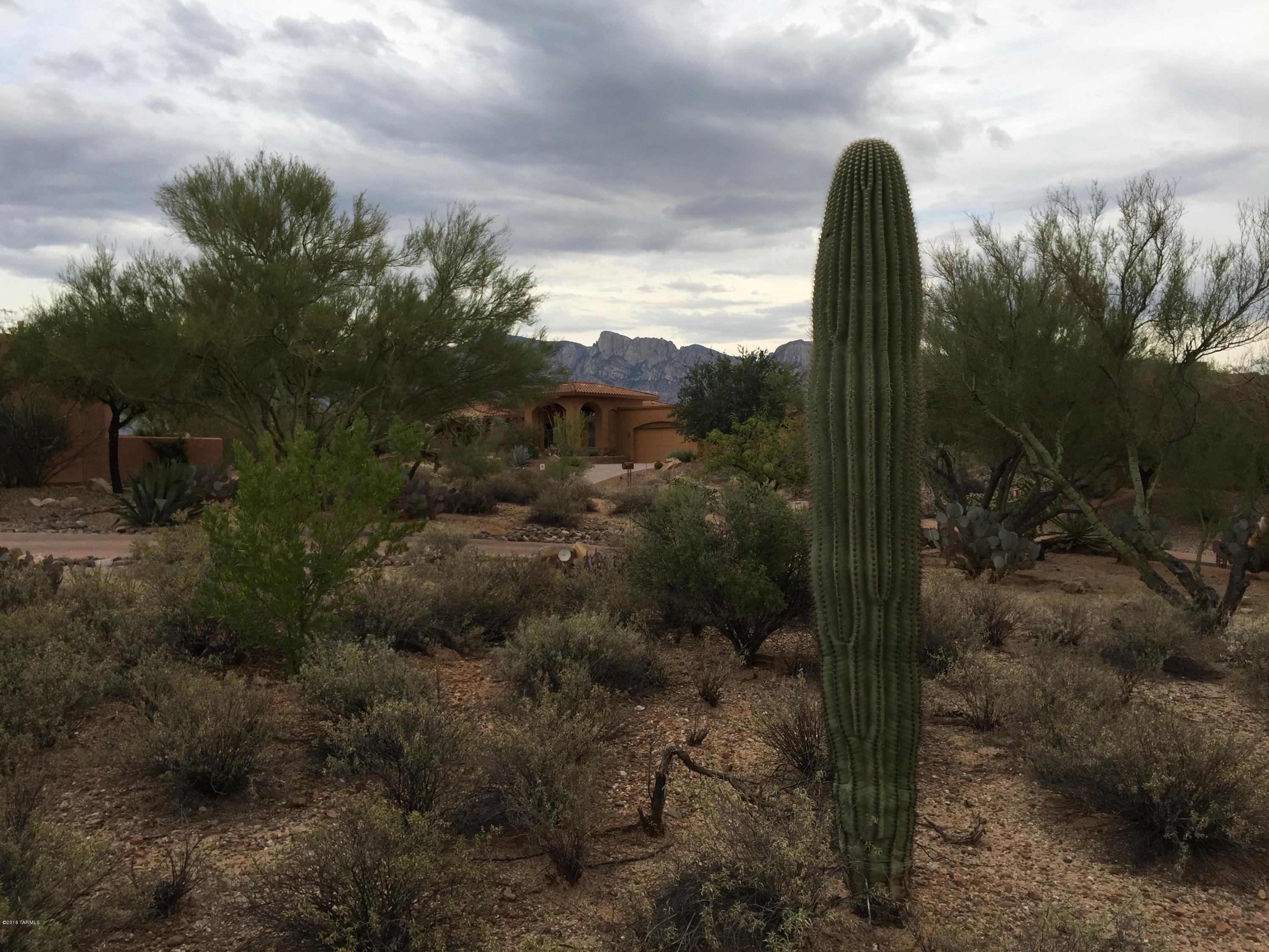 Coyote Ridge (1-109) - Land