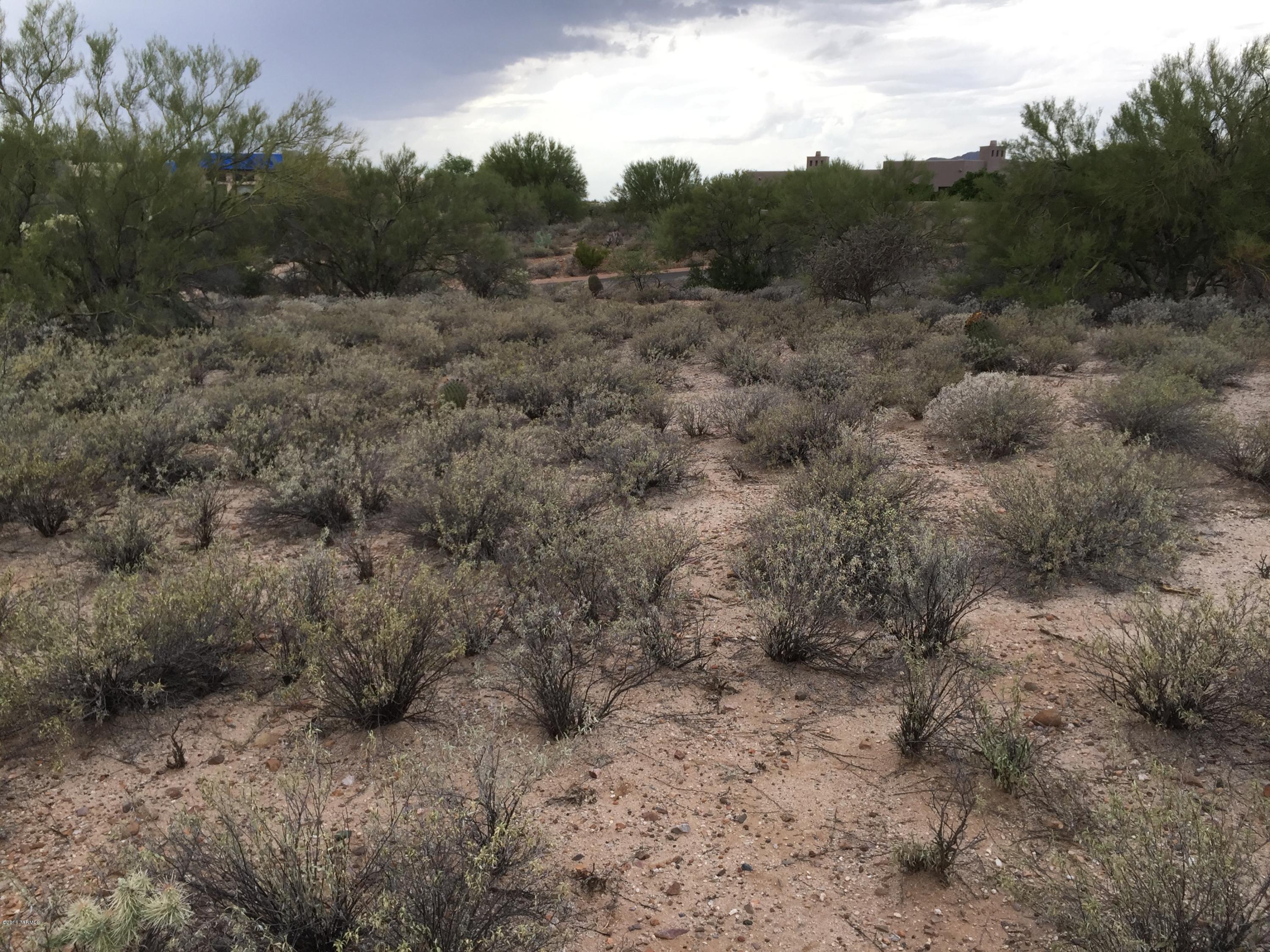 Coyote Ridge (1-109) - Land
