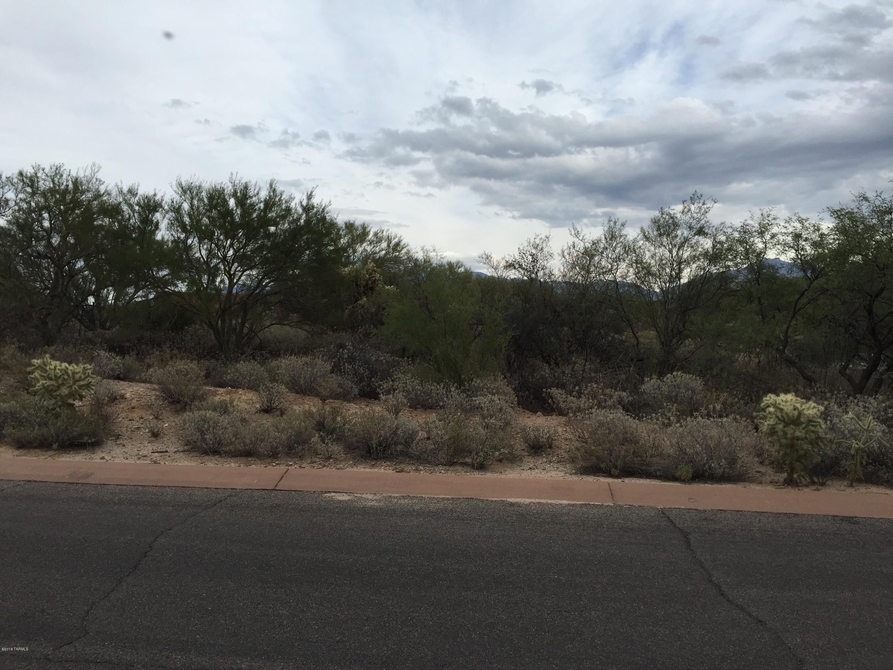 Coyote Ridge (1-109) - Land