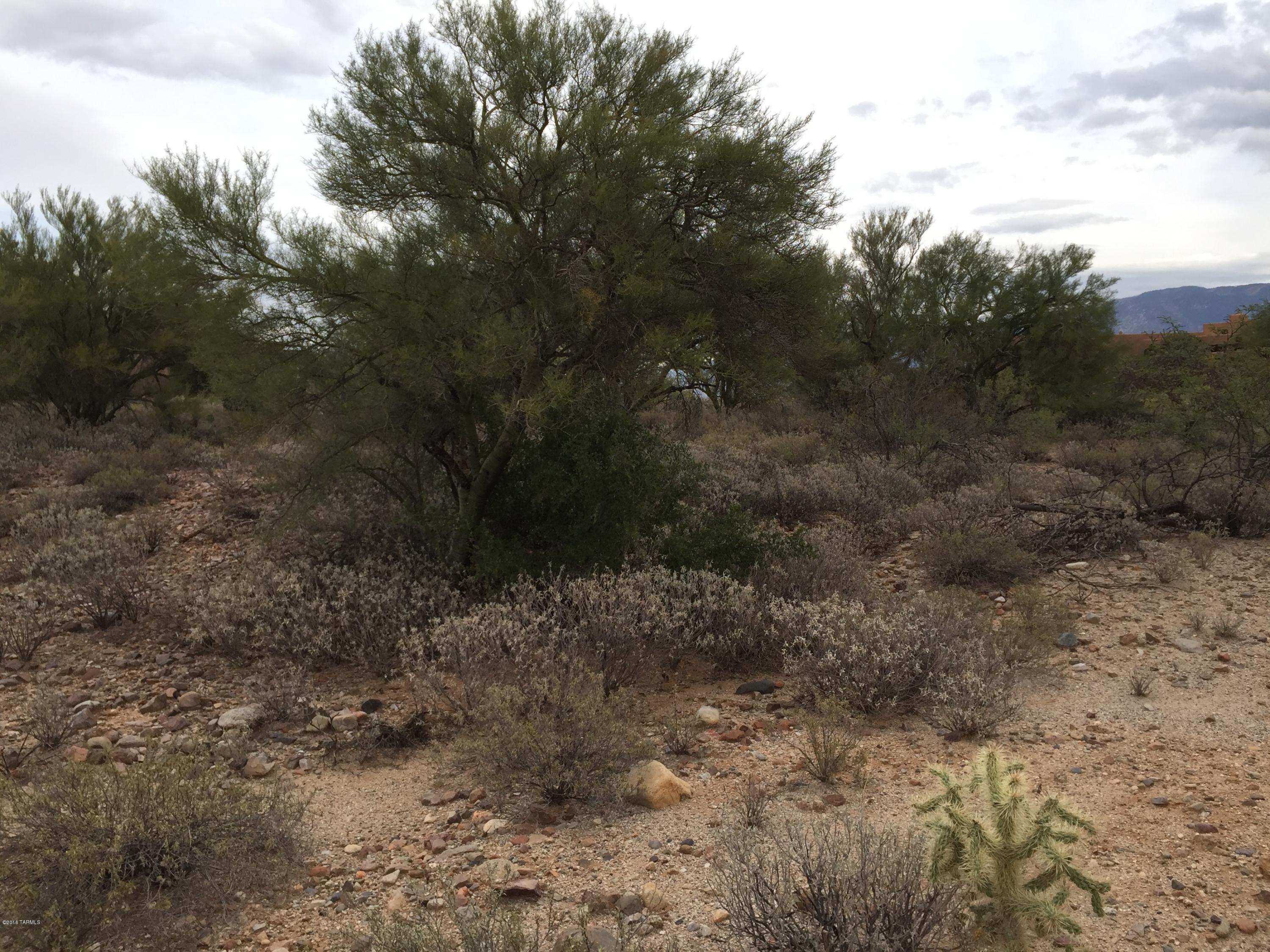Coyote Ridge (1-109) - Land