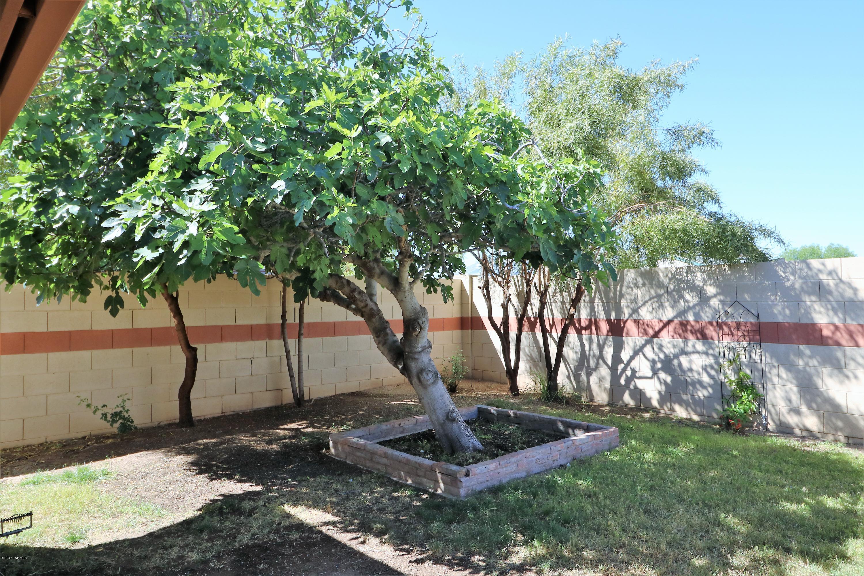 Rancho Antigua II (1-224) - Residential