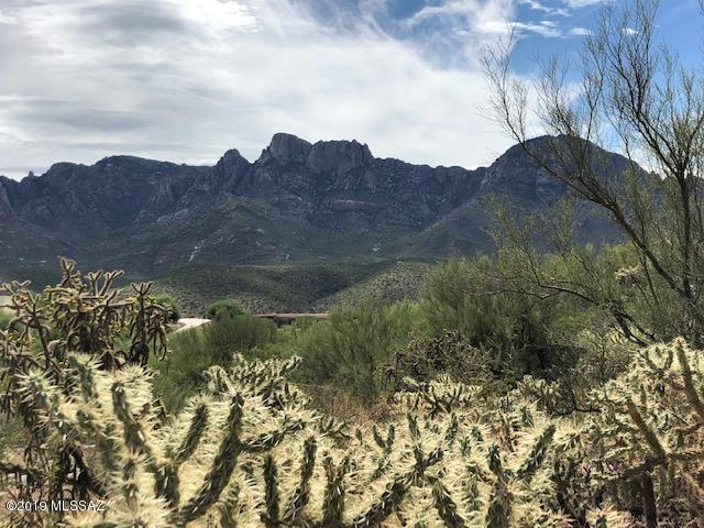 SWEEEEPING, UNOBSTRUCTED views of Catalina Mtns and famous, picturesque PUSCH RIDGE SADDLE!  Ridge-top site BRINGS TO LIFE this nr 1-ac site in small, 66-lot, gated community of Palisades Point.  As you get SWEPT AWAY with the magnificent Catalina Mtn views from an east-facing backyard, LOOK SOUTH DOWN OPEN valley corridor for Oro Valley lights, views expanding to west Tucson Mtns and glorious Sonoran sunsets.  SURROUNDING HOMES are in and reflect ease of building on this site.  FOLLOW ORANGE FLAGS FOR EASY WALKING PATH TO RIDGE TOP.  Lower portion of lots on east side of Flying Bird are dedicated as natural area, allowing for driveway but no building structures.  Too bad, you HAVE to build on the Ridge :) One seller is licensed to sell real estate in Arizona