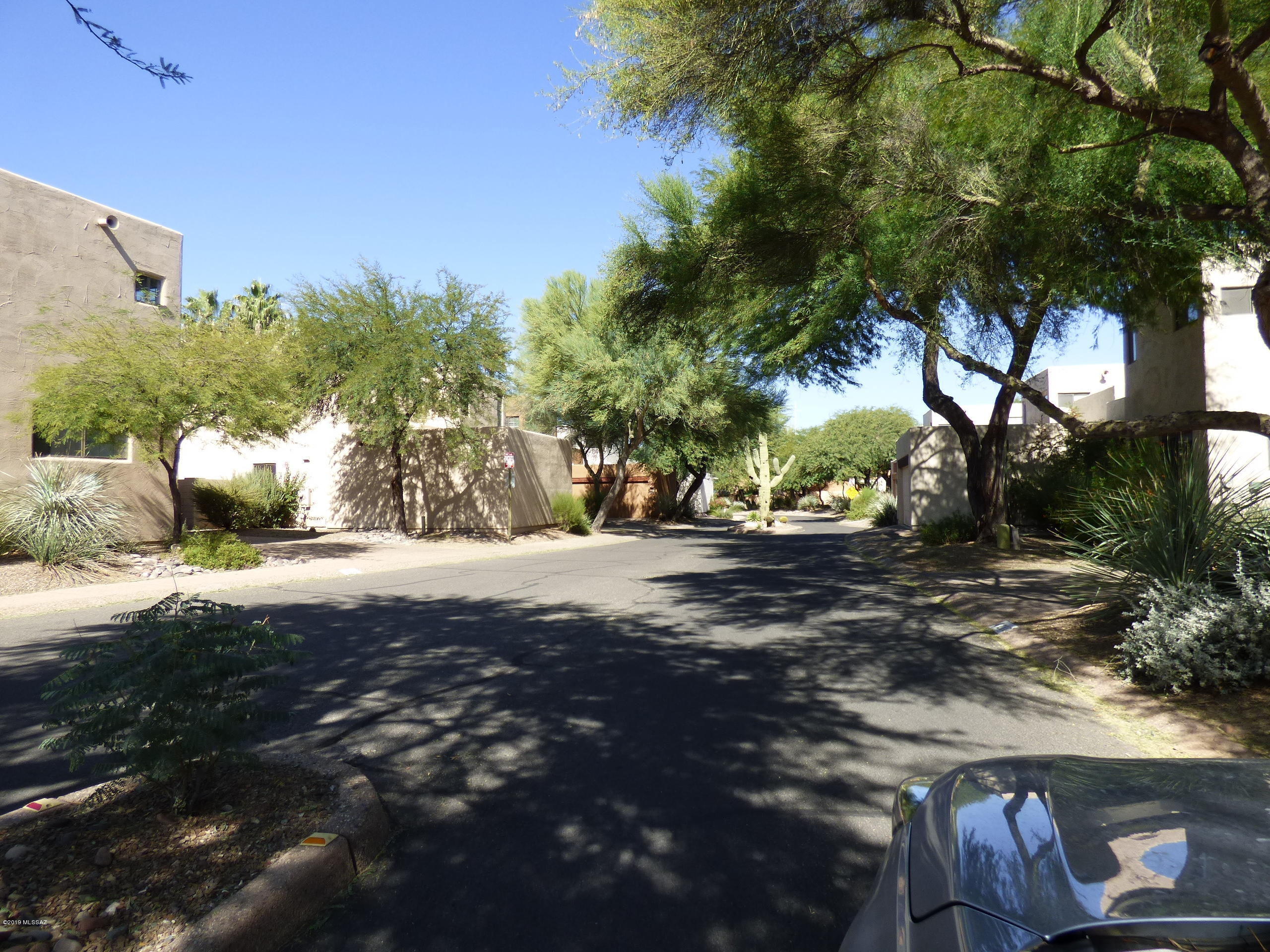 River At North Campbell (1-59) - Residential