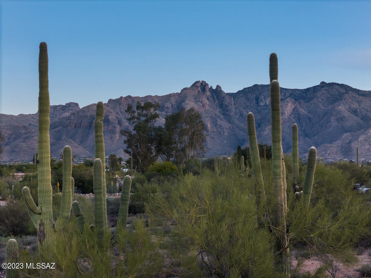 Catalina Foothills Estates - Land