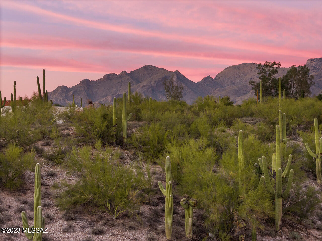 Come and experience this spectacular 1.54 acre lot, ideally situated to embrace both the twinkling cityscape and the stunning vista of the Catalina Foothills Mountains. This lot has a ready-to-build envelope, set amidst the beautiful Sonoran desert. It offers a perfect blend of tranquillity and convenience, being just a stone's throw away from St. Philips Plaza, La Encantada, The Loop bike, and walking path, farmers markets, shopping centers, and much more!! This location is free from restrictive Covenants, Conditions & Restrictions (CCRs); a prime spot to construct your dream home!