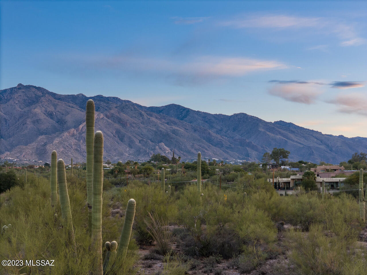 Catalina Foothills Estates - Land