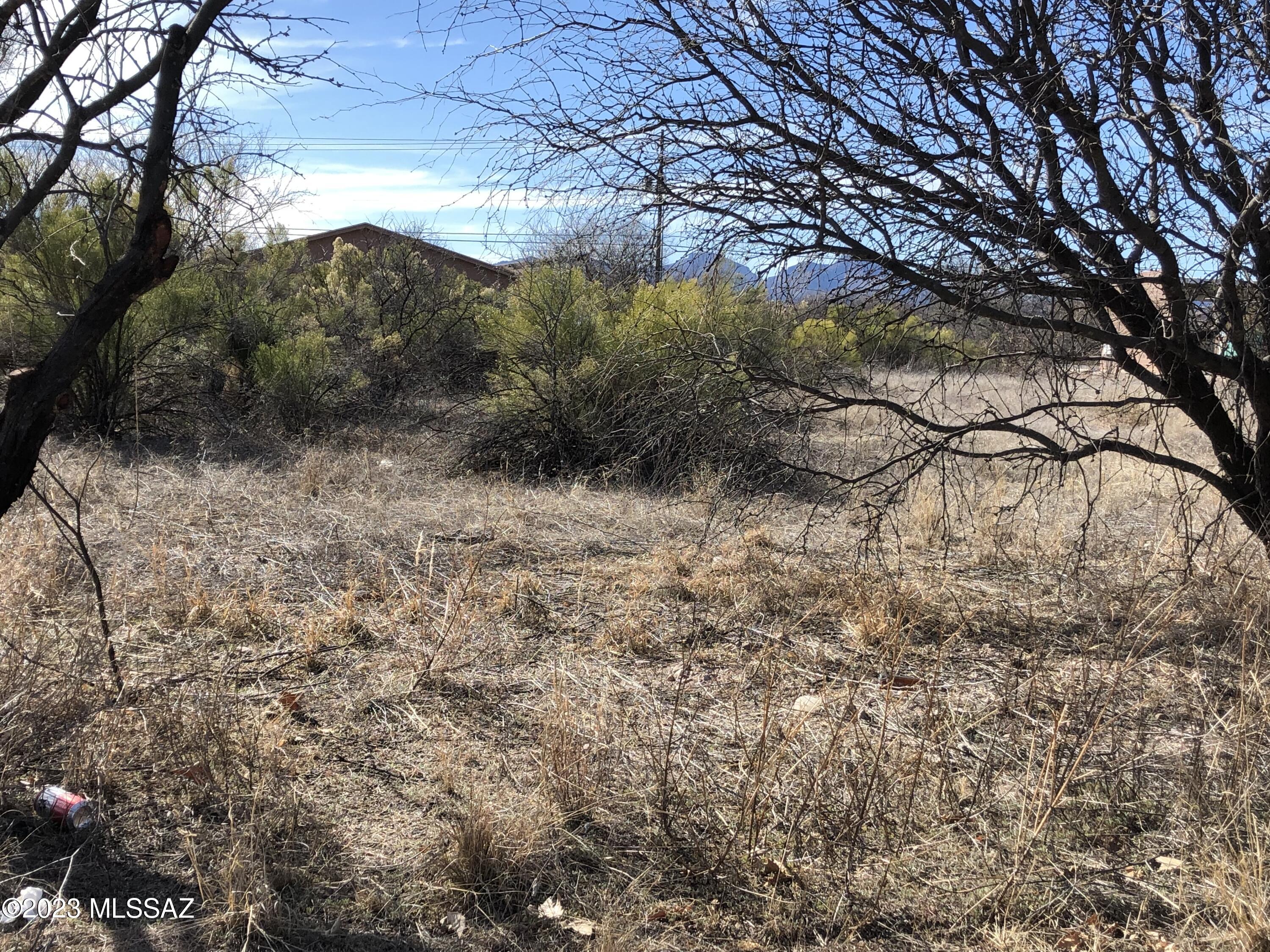 Rio Rico  Unit No 7 - Land