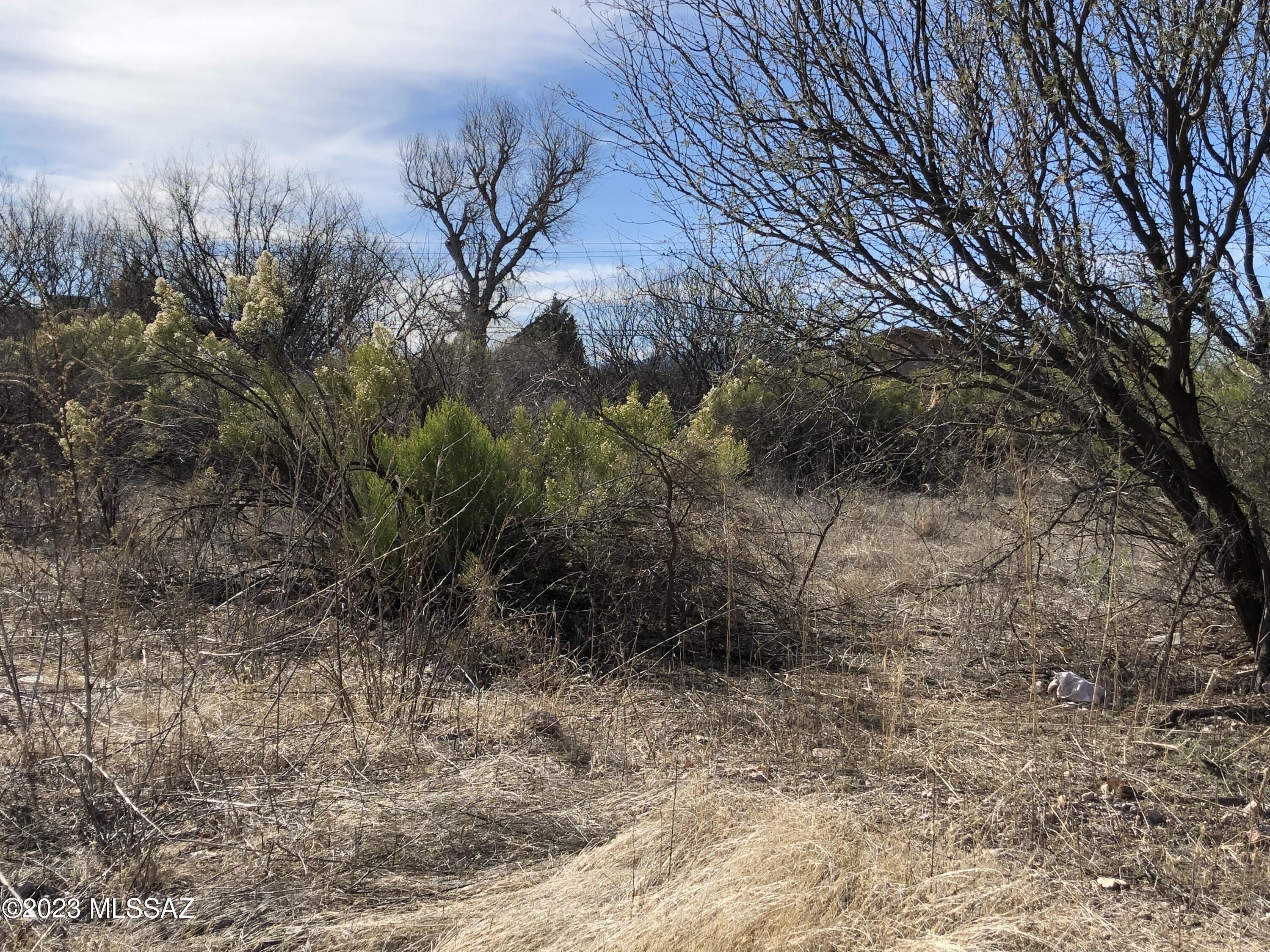 Rio Rico  Unit No 7 - Land