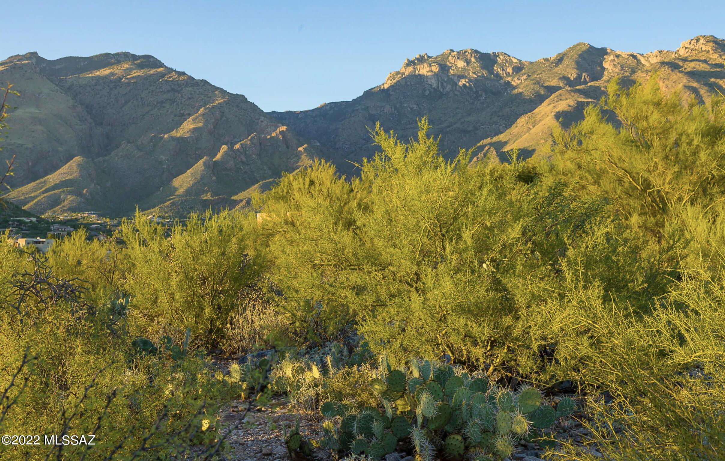 Cimarron Foothills Estates (254-408) - Land