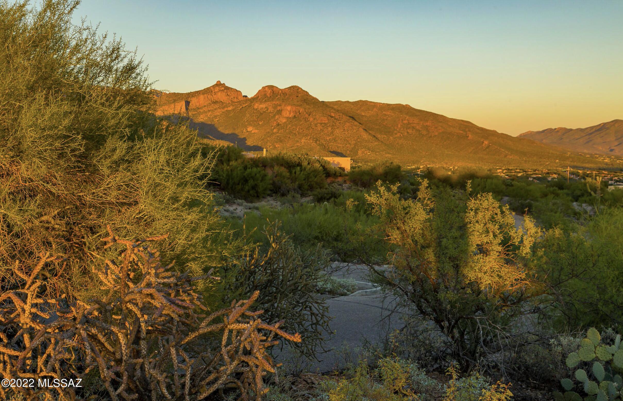 Cimarron Foothills Estates (254-408) - Land
