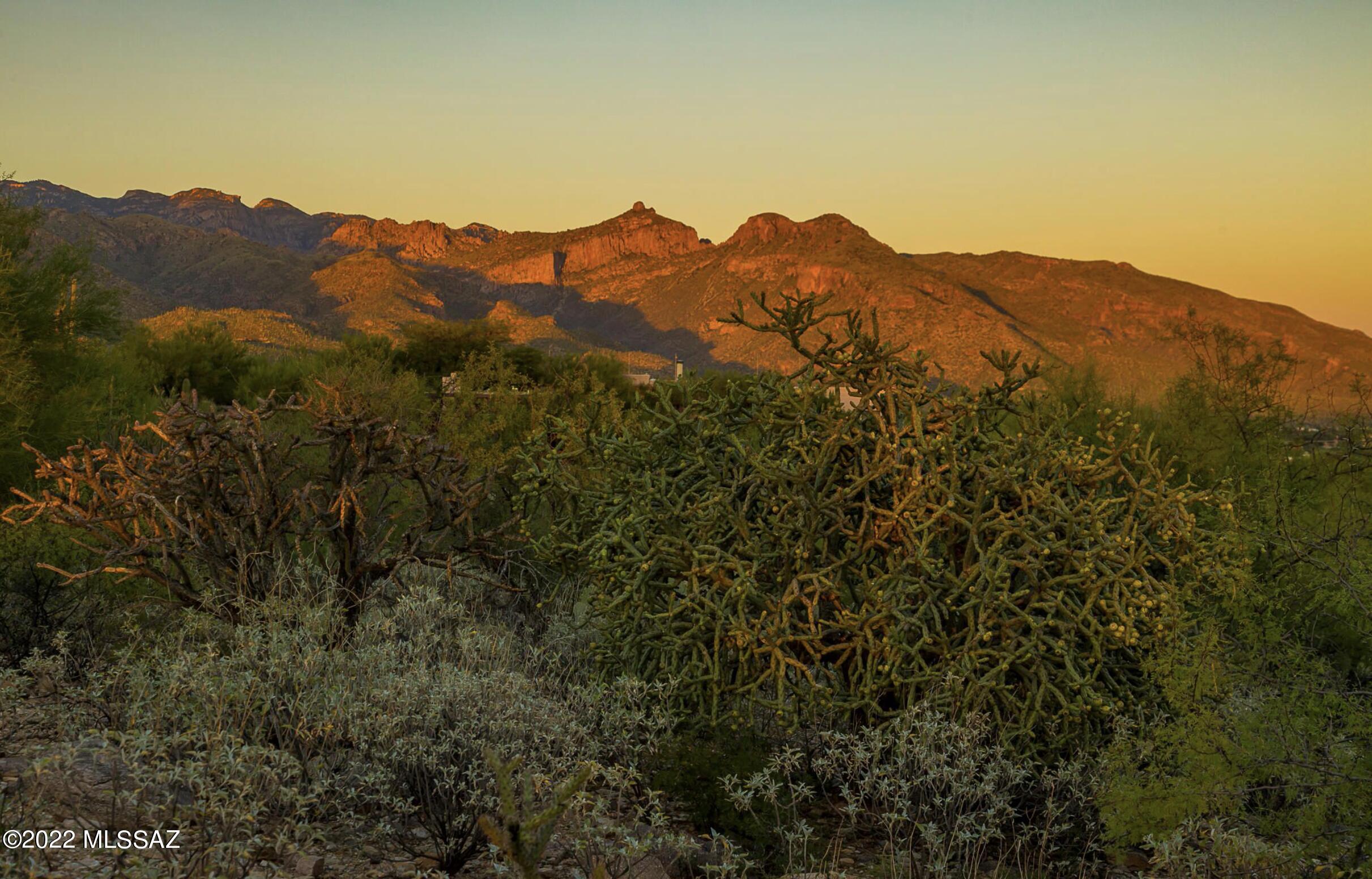 Cimarron Foothills Estates (254-408) - Land