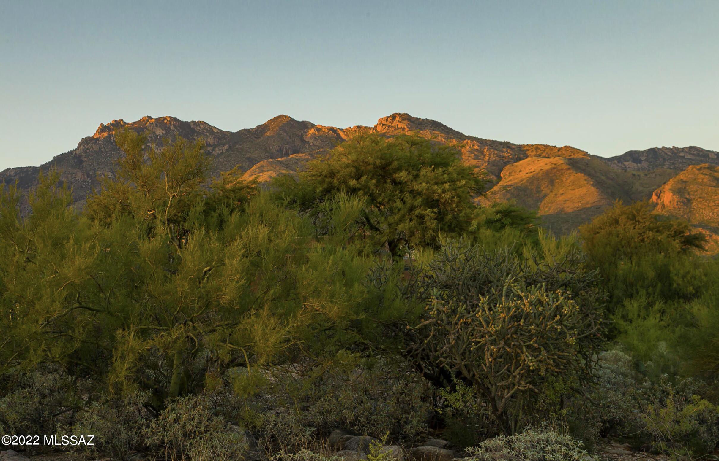 Cimarron Foothills Estates (254-408) - Land