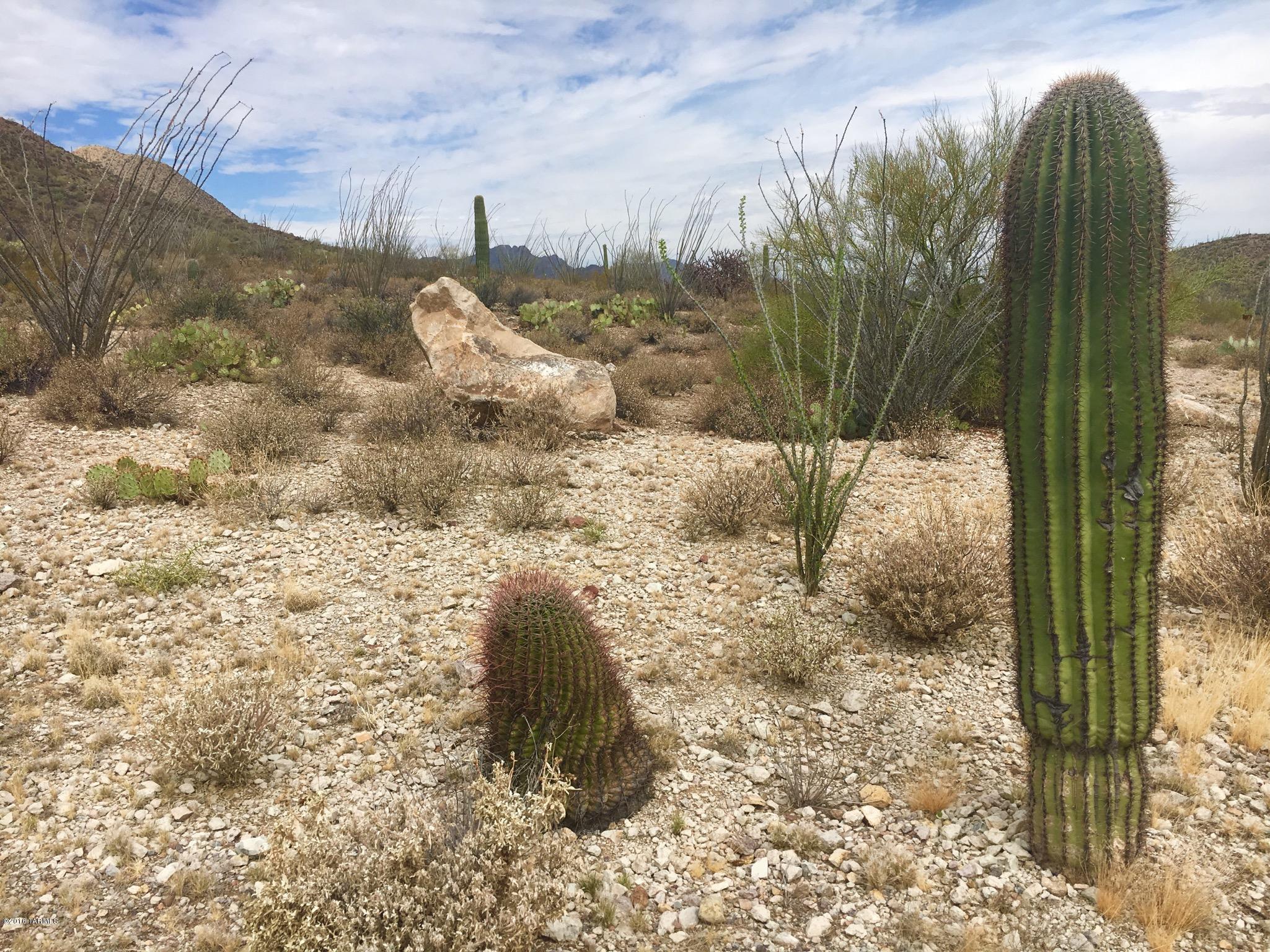 Estates at Starr Pass (The) - Land