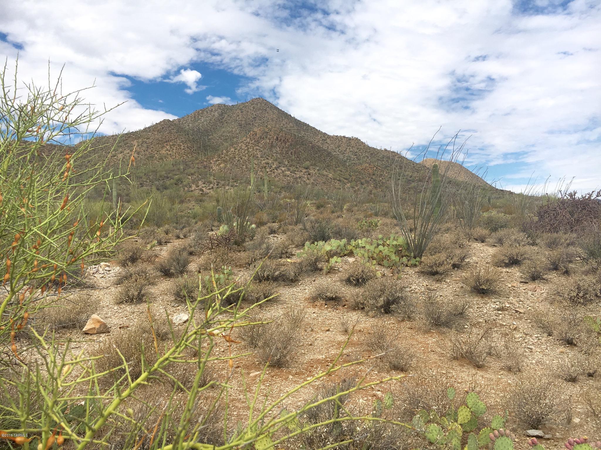 Estates at Starr Pass (The) - Land