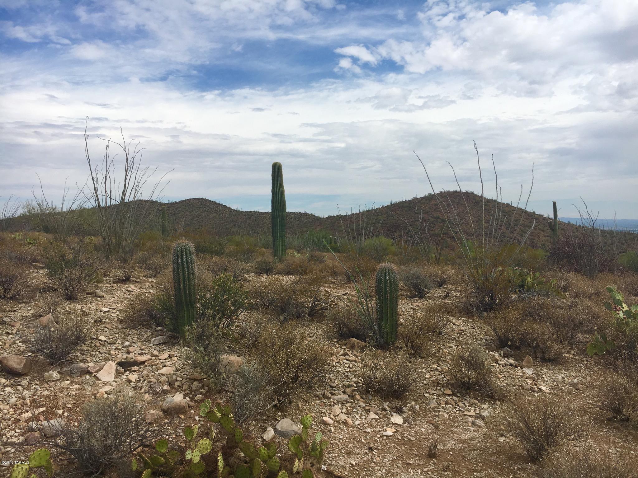 Estates at Starr Pass (The) - Land