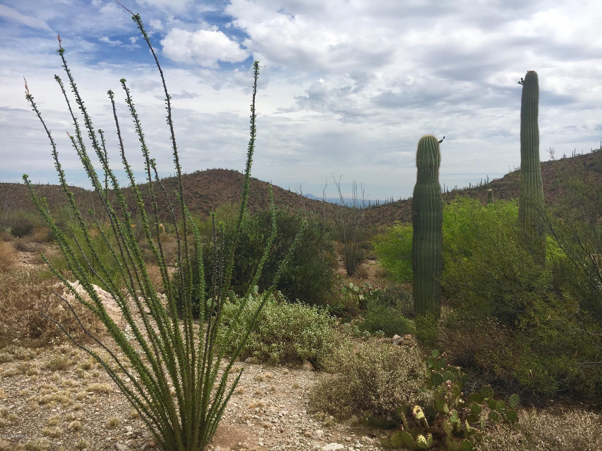 Estates at Starr Pass (The) - Land