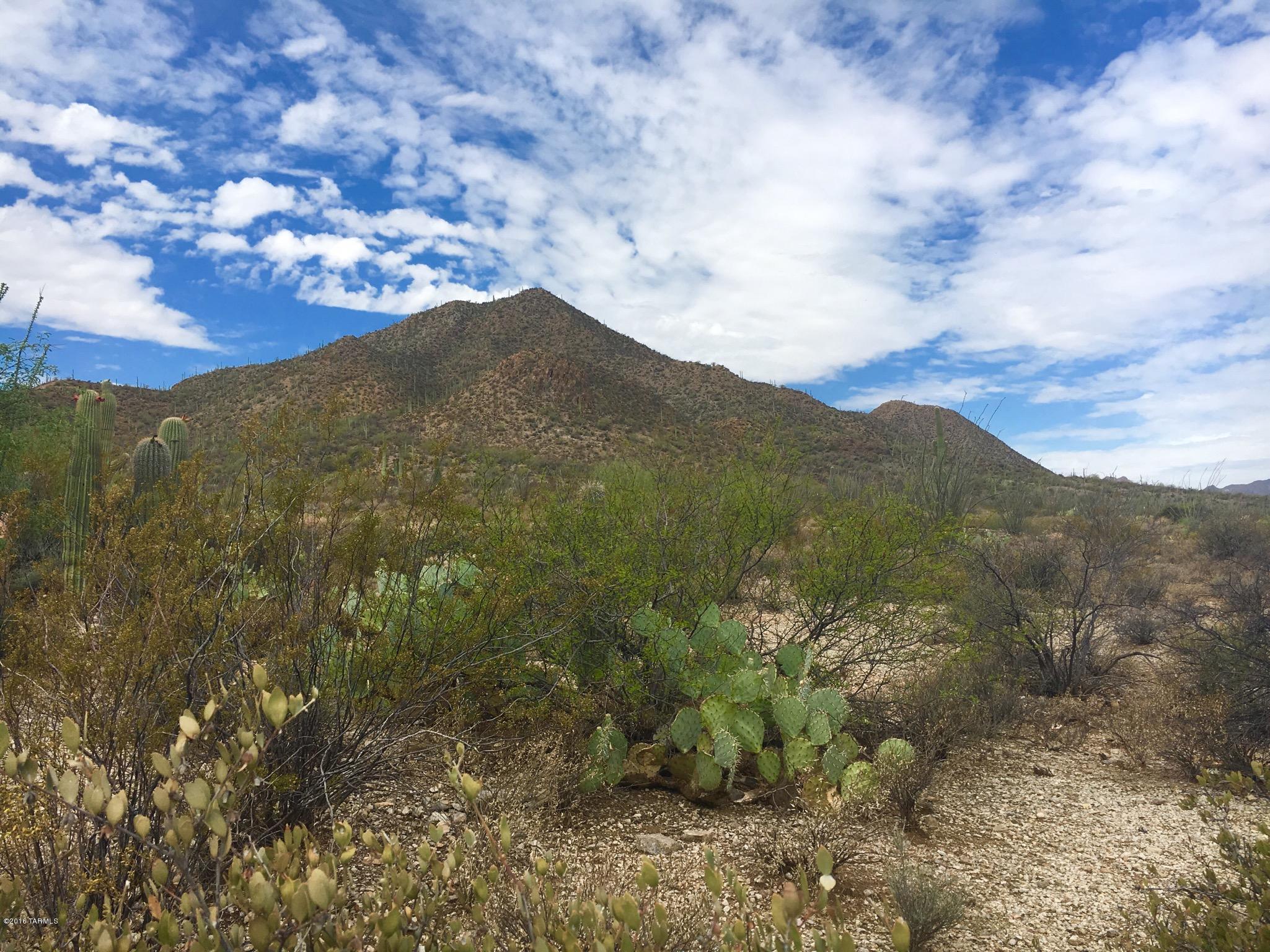 Estates at Starr Pass (The) - Land