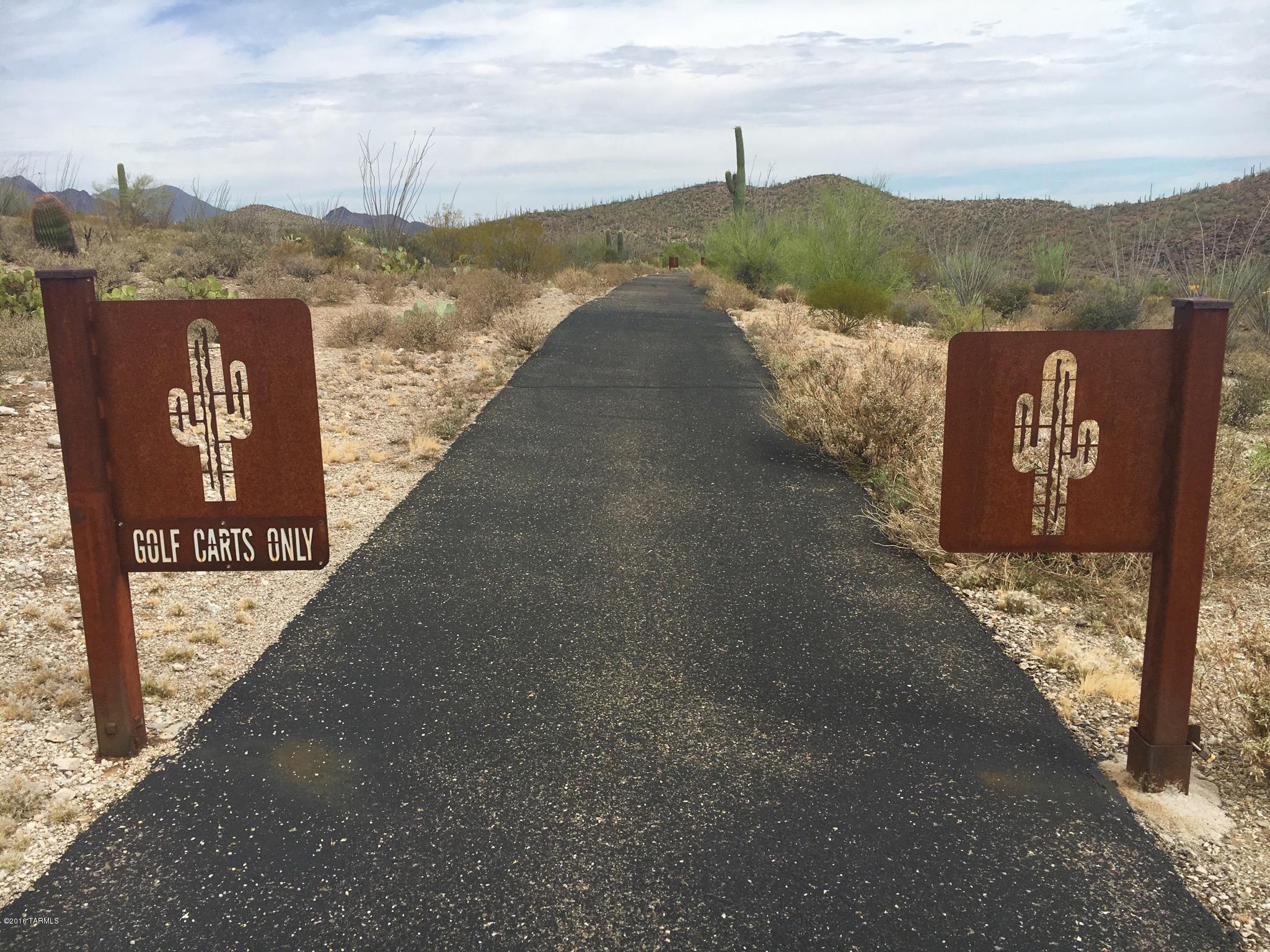 Estates at Starr Pass (The) - Land