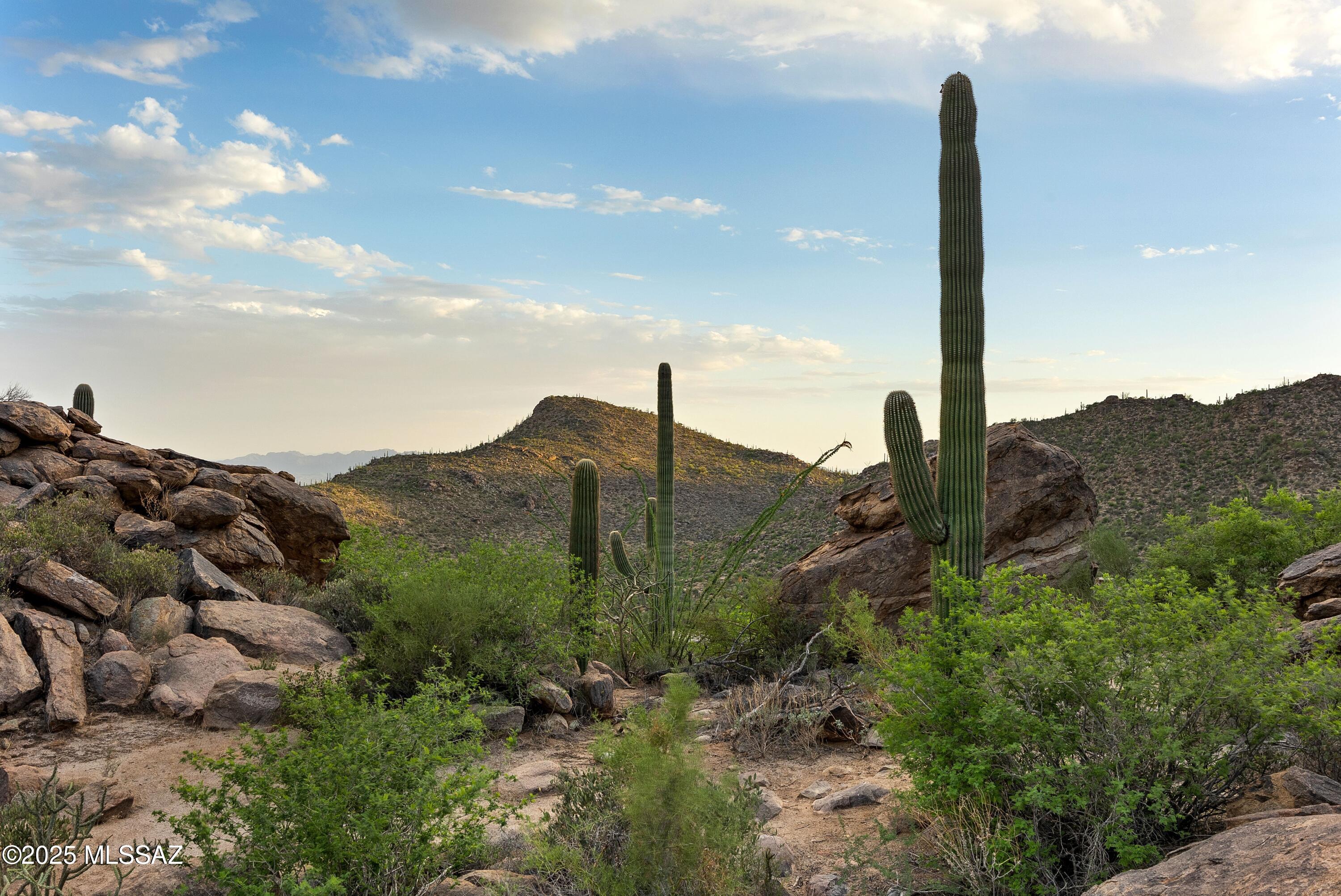 Saguaro Ranch (9-52) Blks. 1-4 - Land