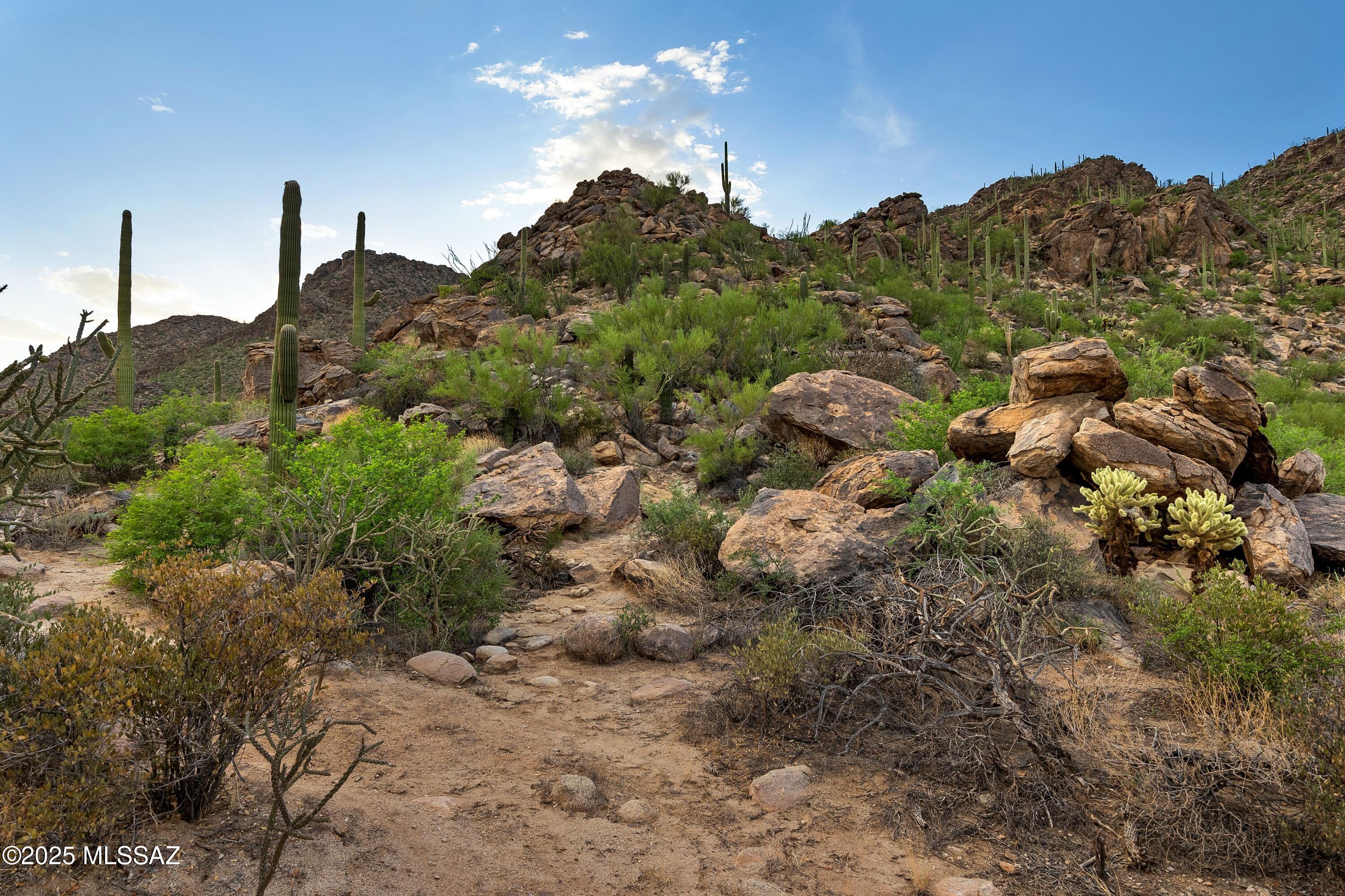 Saguaro Ranch (9-52) Blks. 1-4 - Land