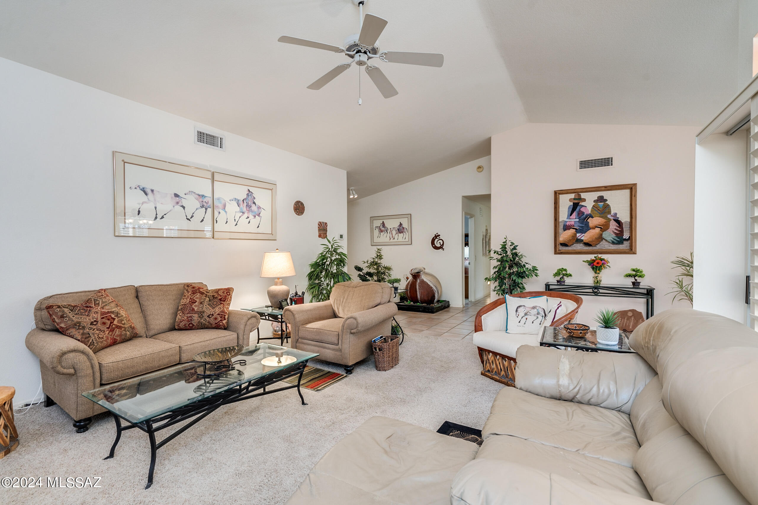 Saddlebrooke - Residential