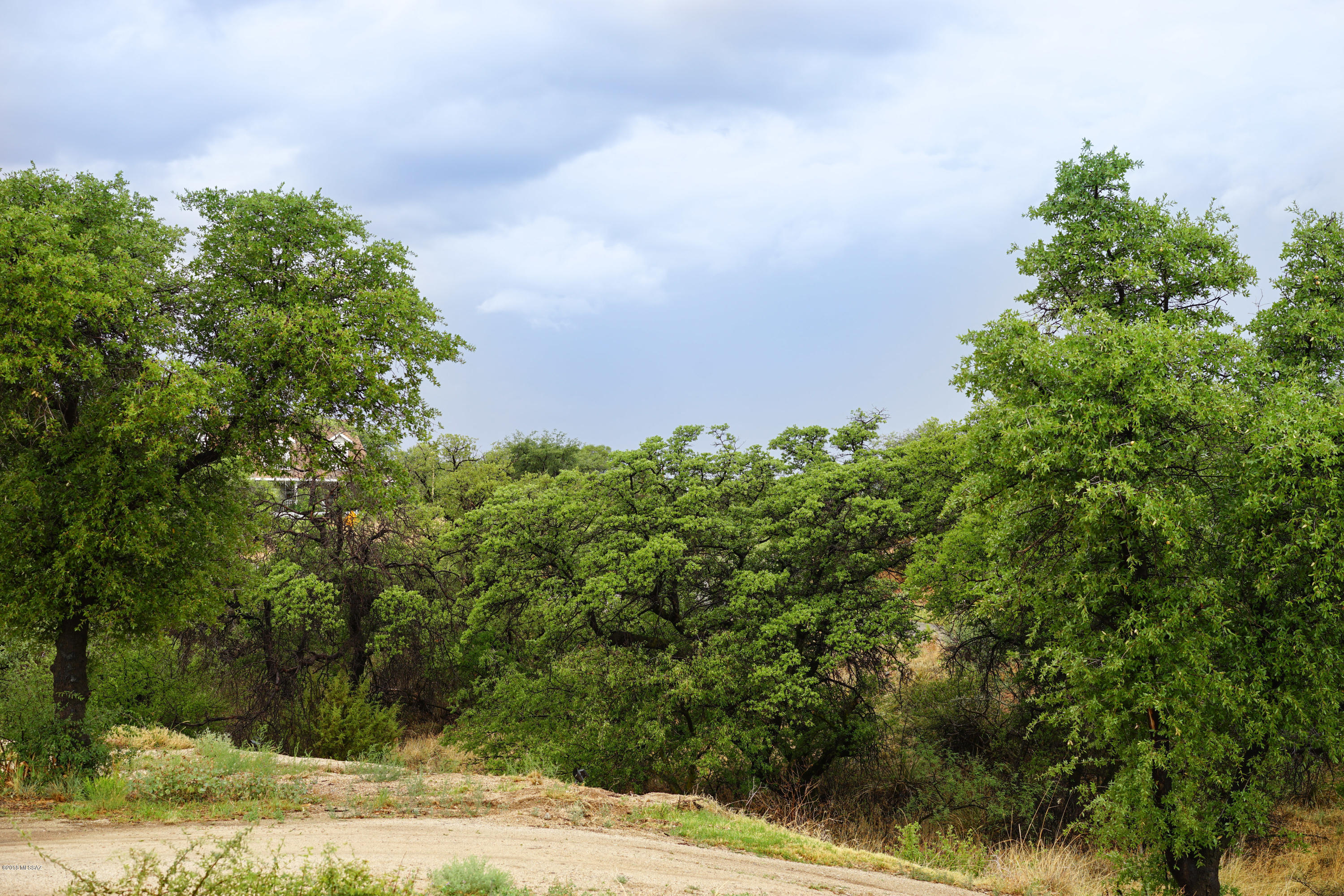 Los Robles Estates - Residential