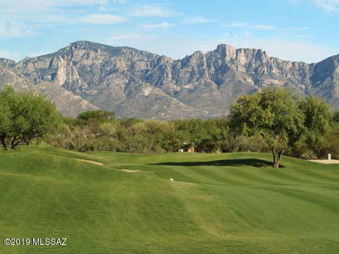 Sun City Vistoso Unit 7(1-227) - Residential