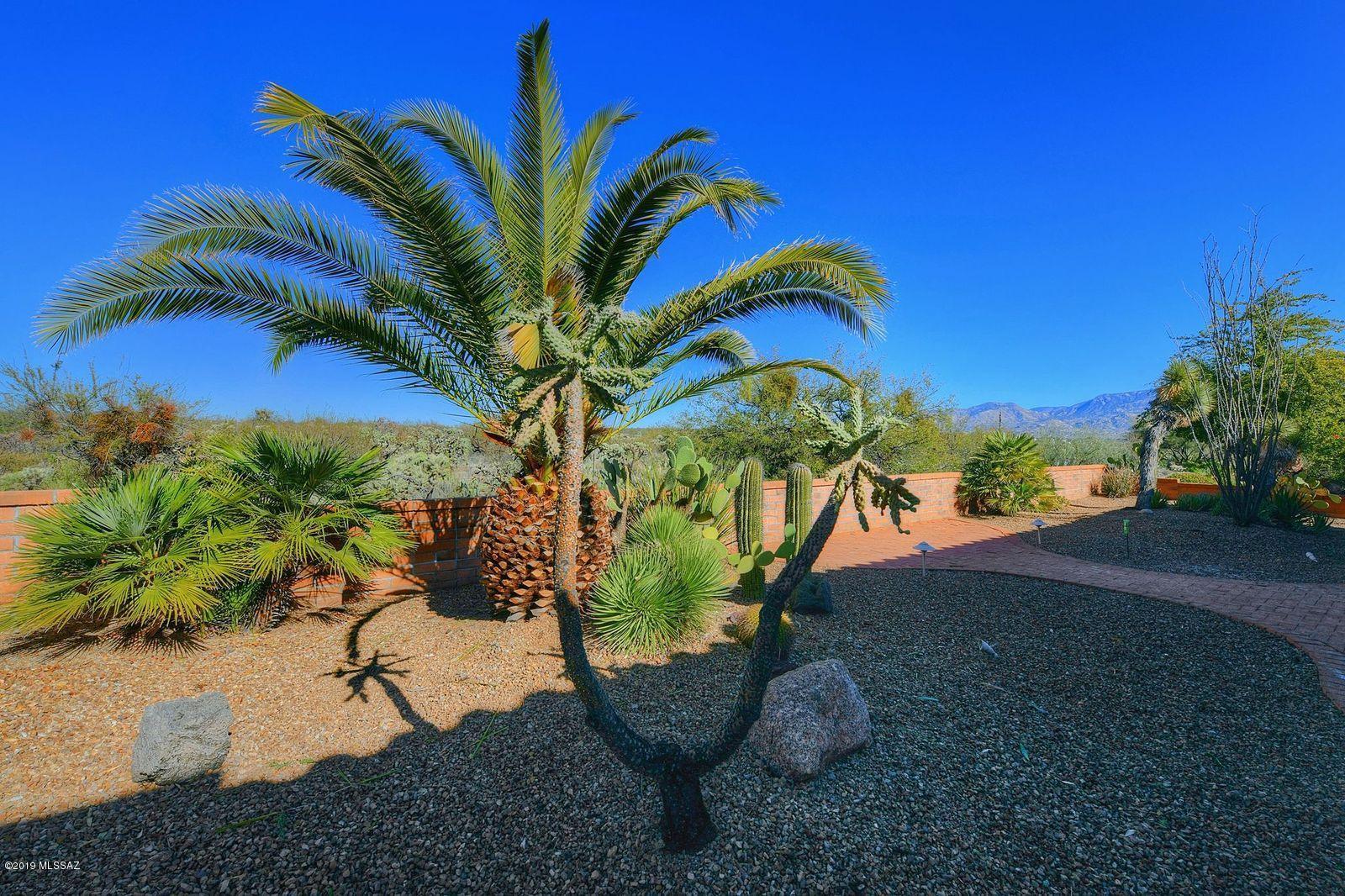 Sun City Vistoso Unit 7(1-227) - Residential