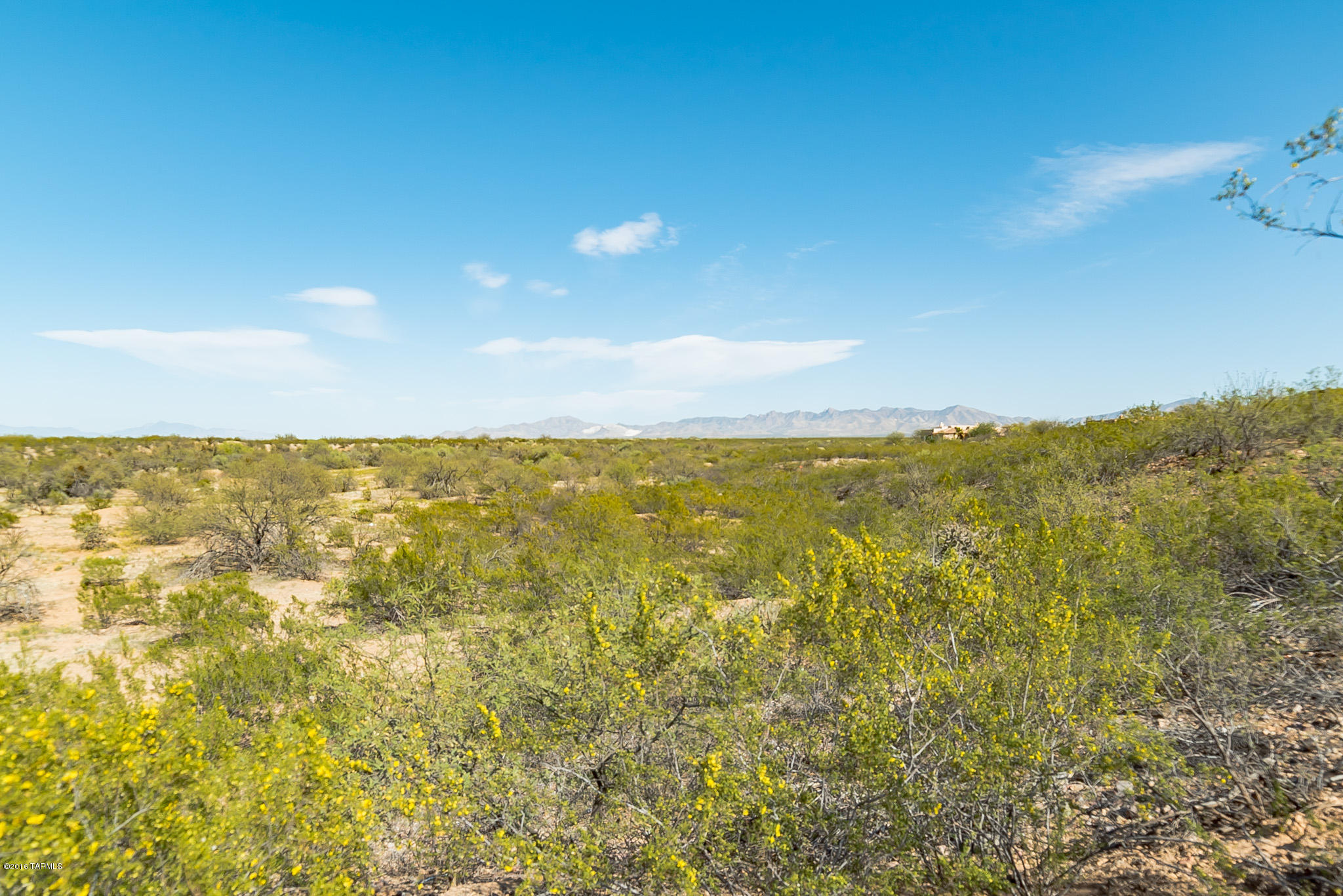 Madera Reserve Phase II (131-263) - Land