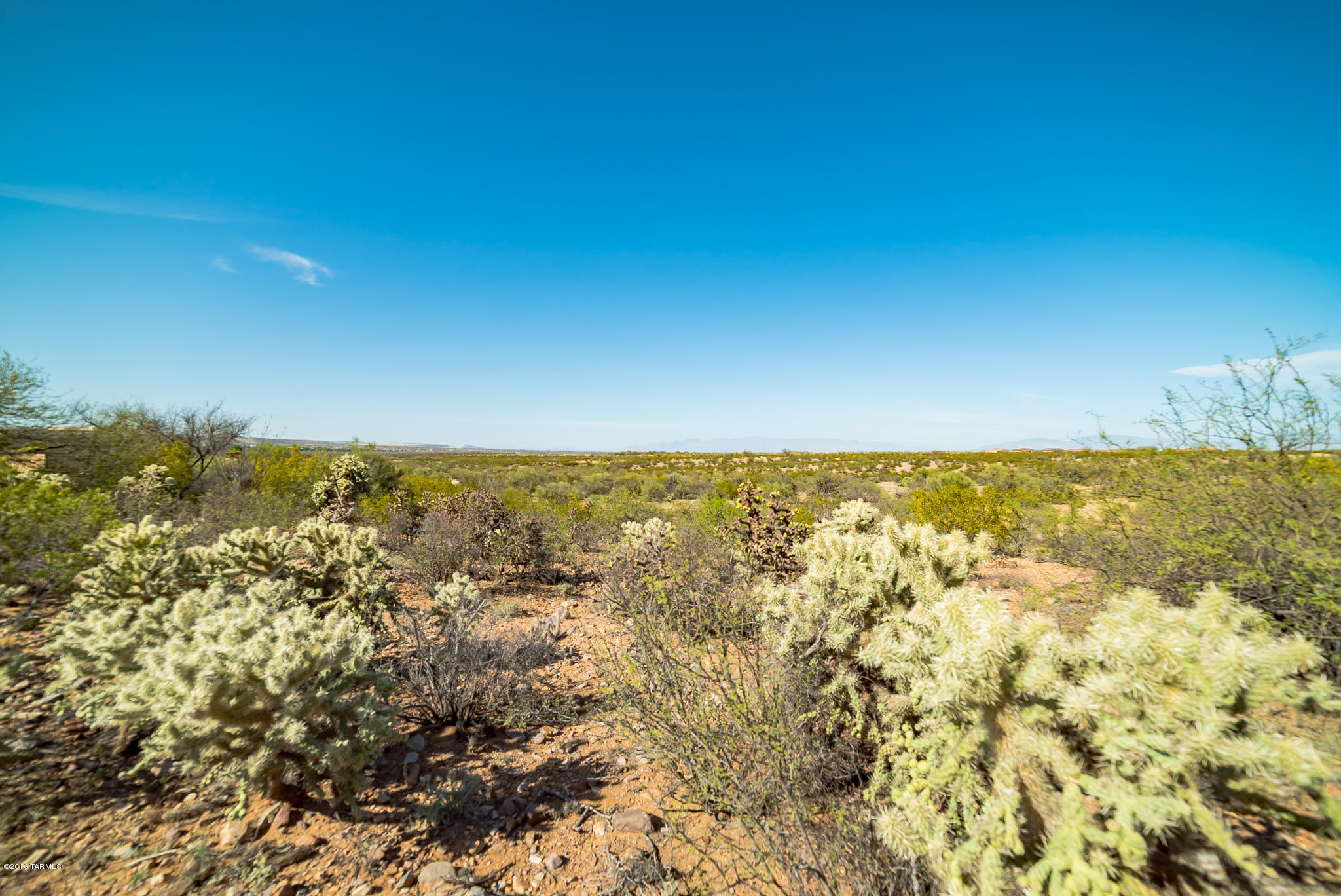 Madera Reserve Phase II (131-263) - Land