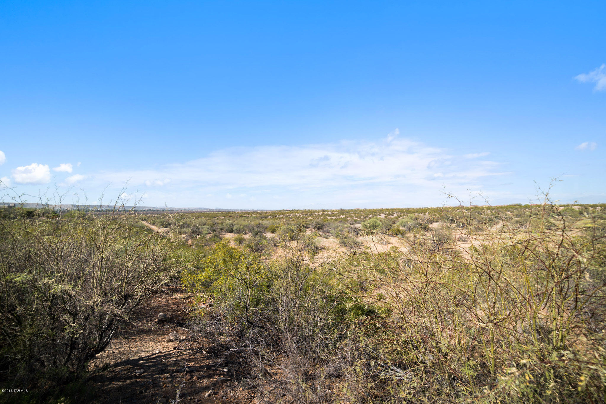 Madera Reserve Phase II (131-263) - Land