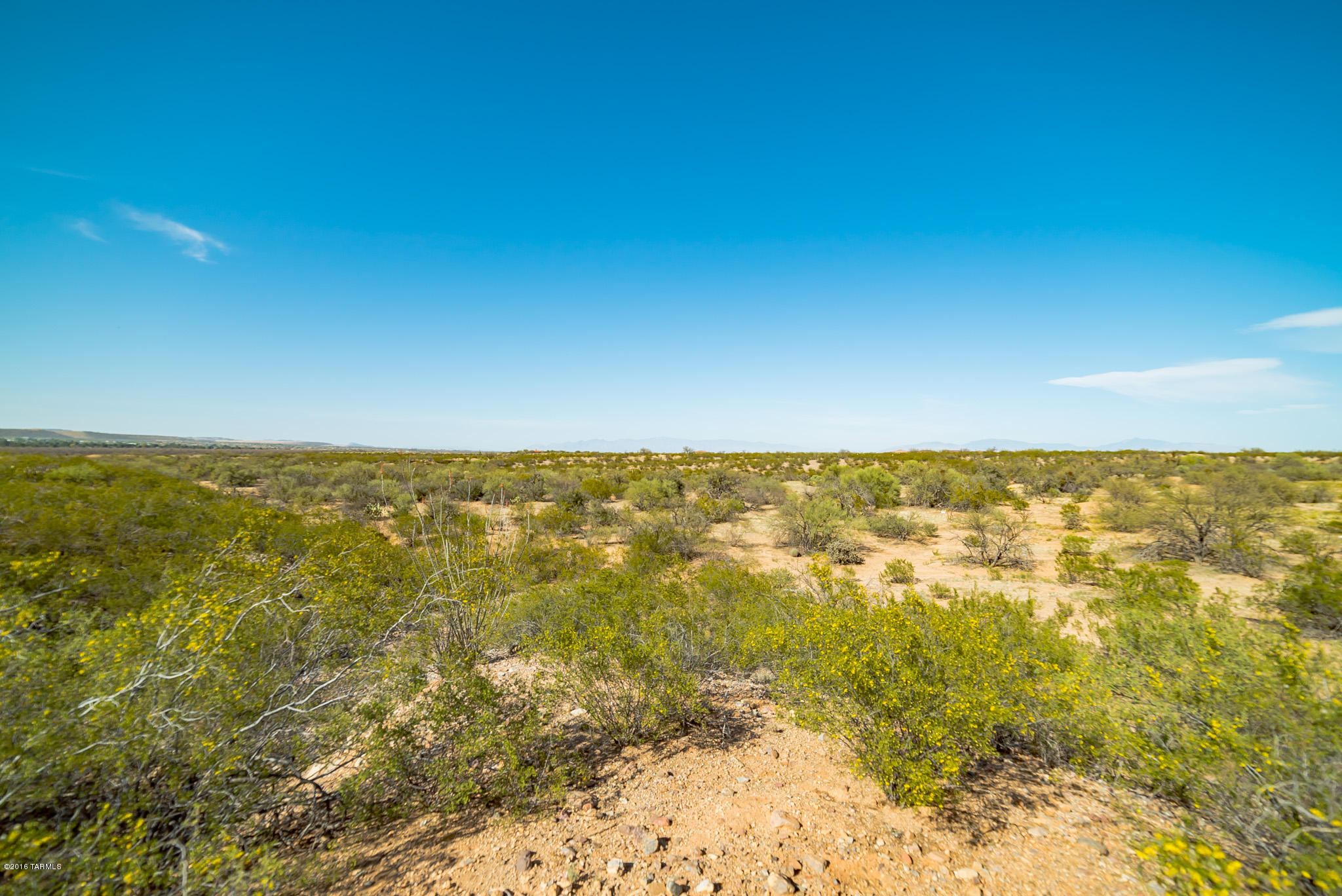 Madera Reserve Phase II (131-263) - Land