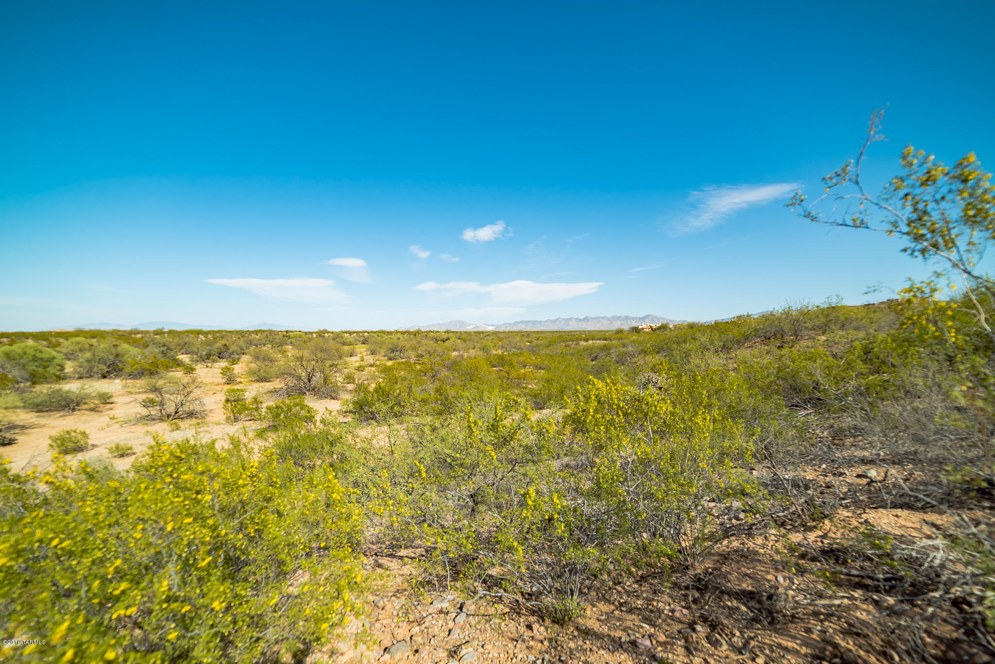 Madera Reserve Phase II (131-263) - Land