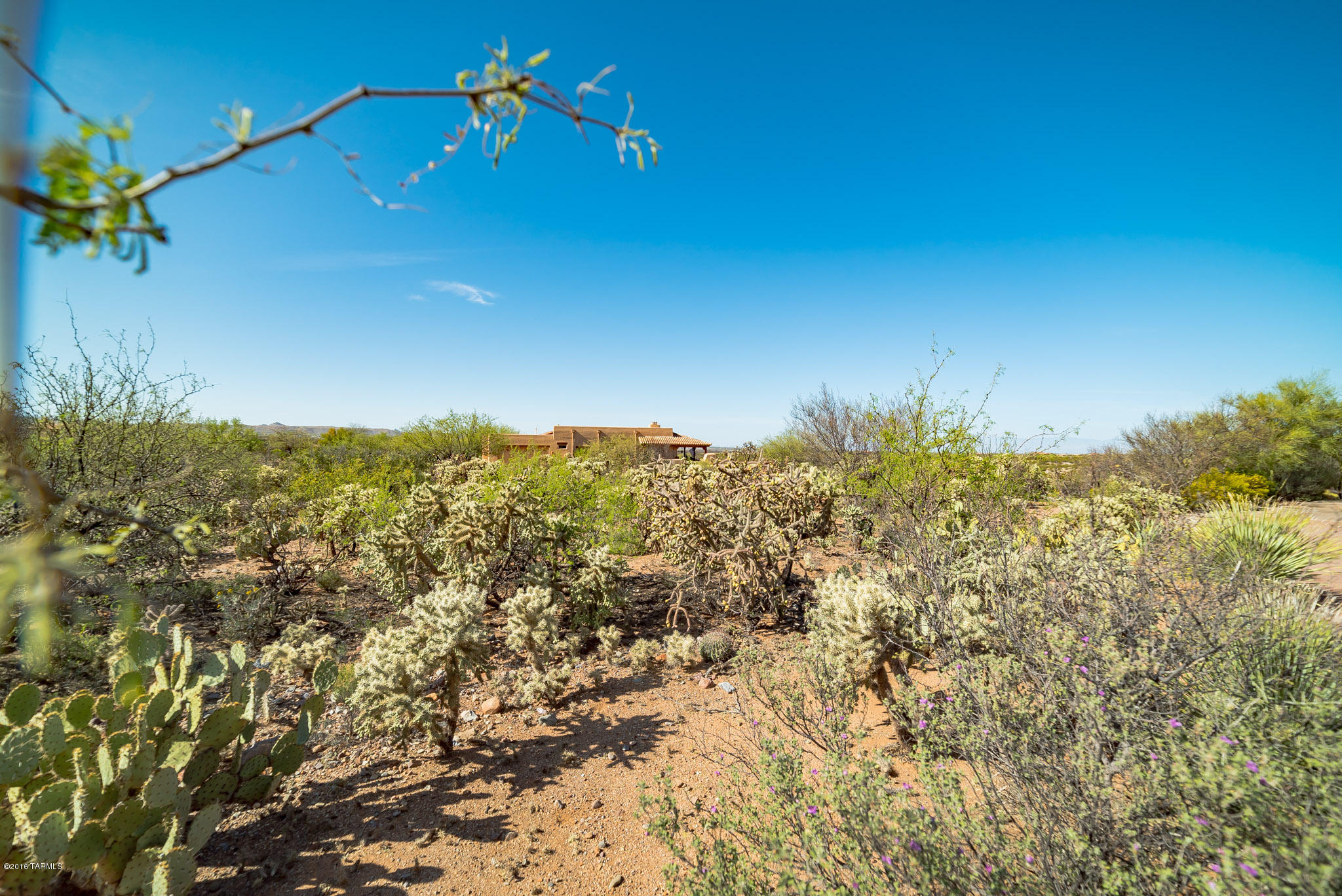 Madera Reserve Phase II (131-263) - Land