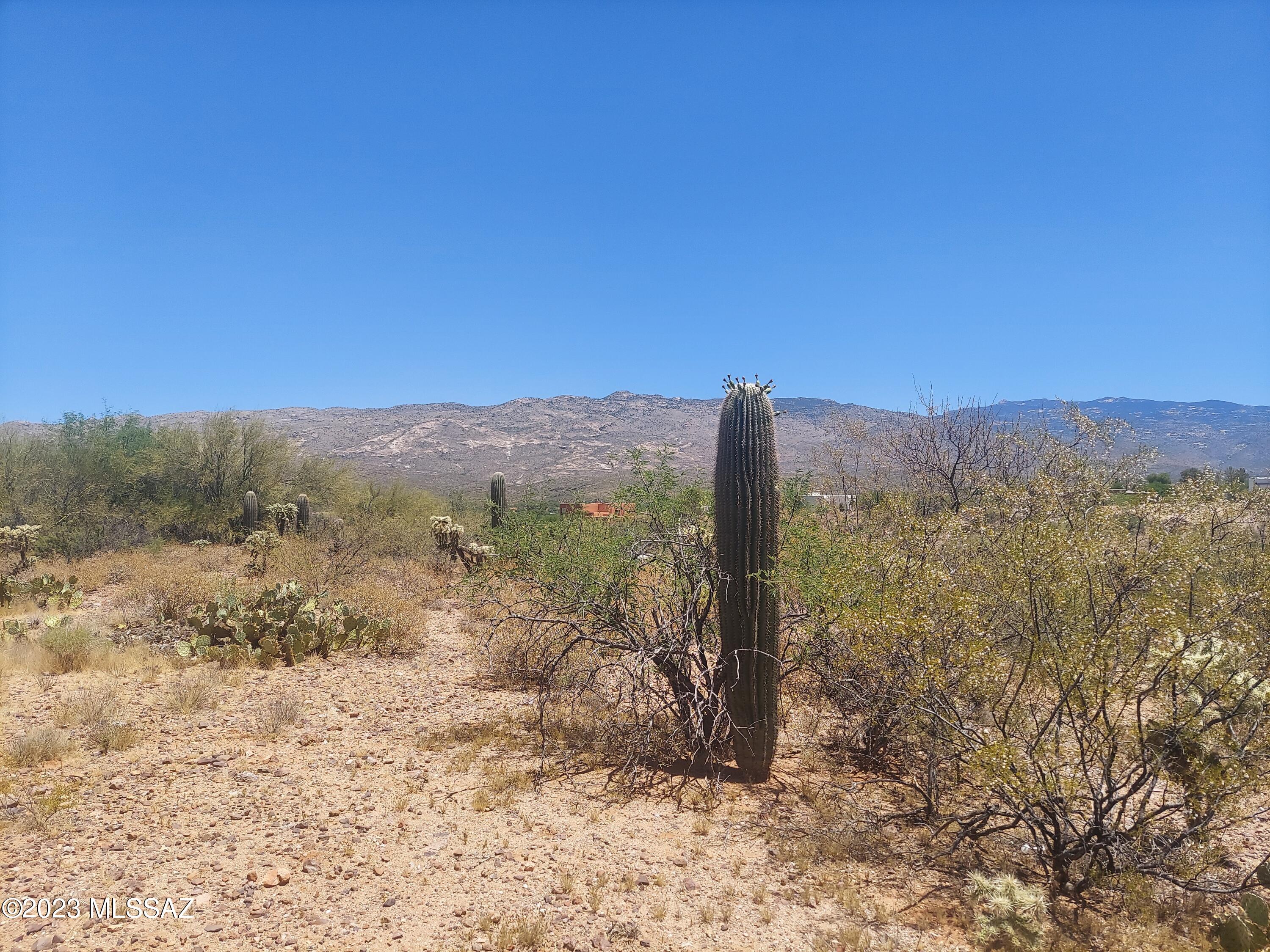 Rincon Desert Estates (1-47) - Land