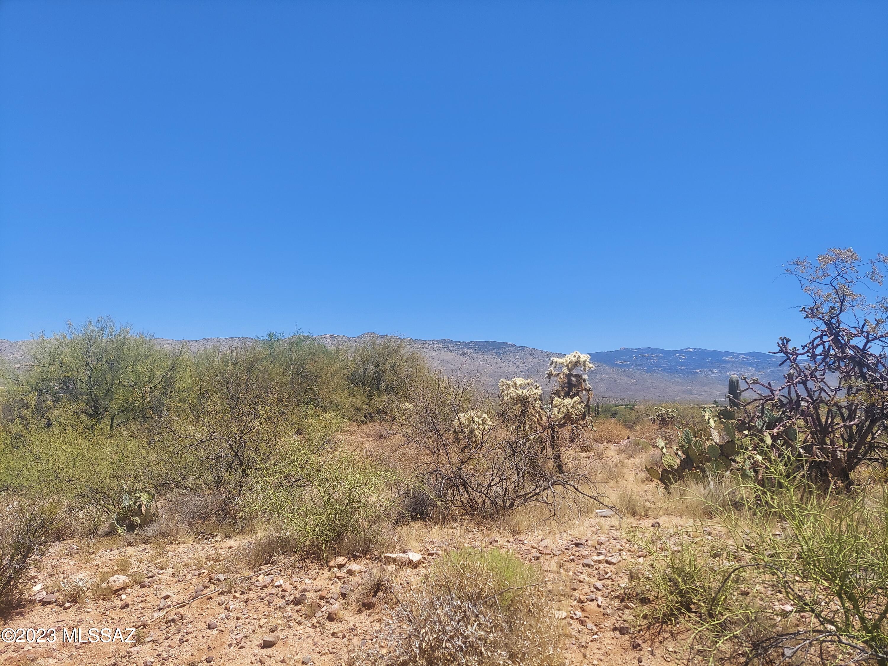 Rincon Desert Estates (1-47) - Land