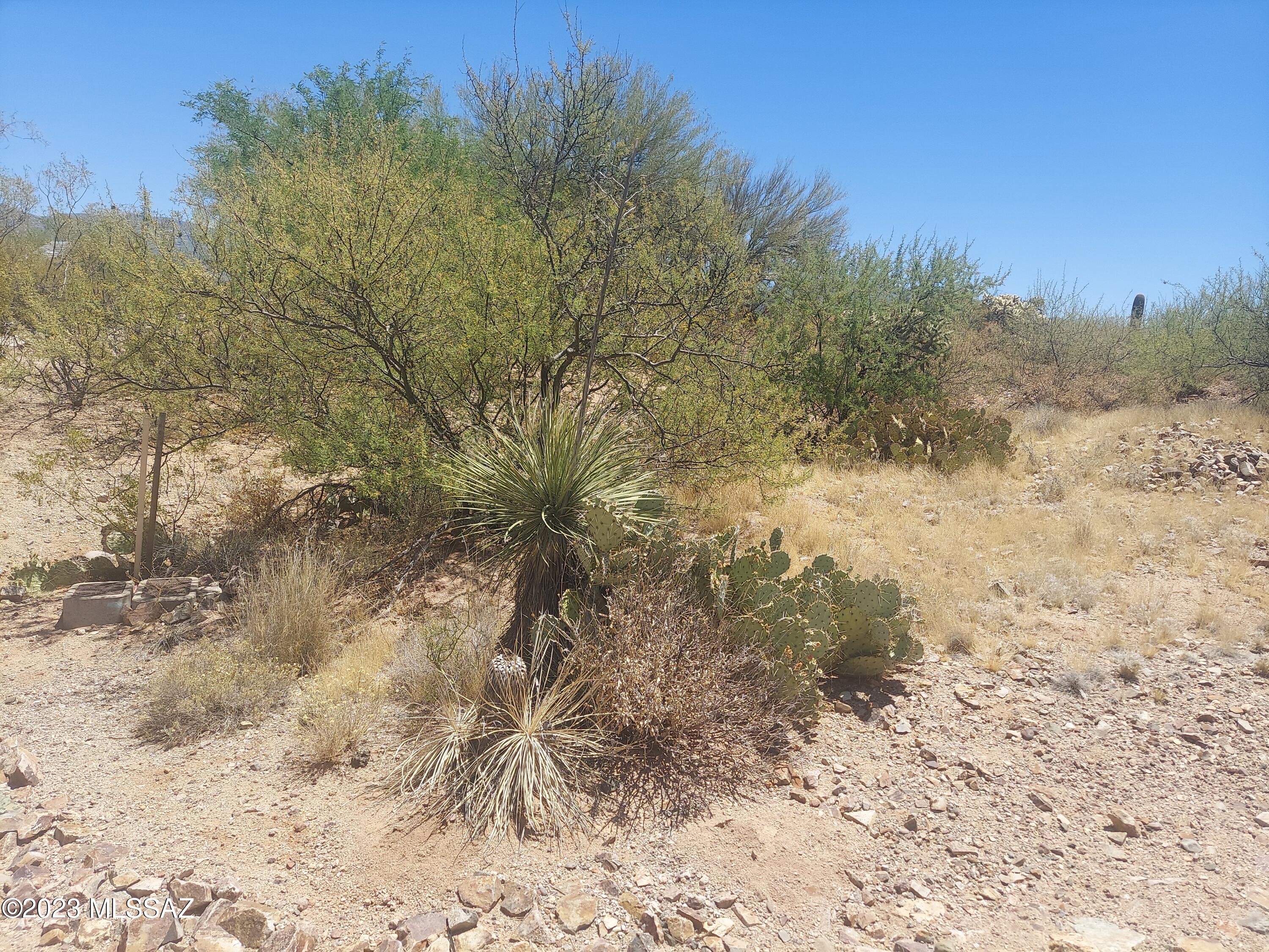 Rincon Desert Estates (1-47) - Land