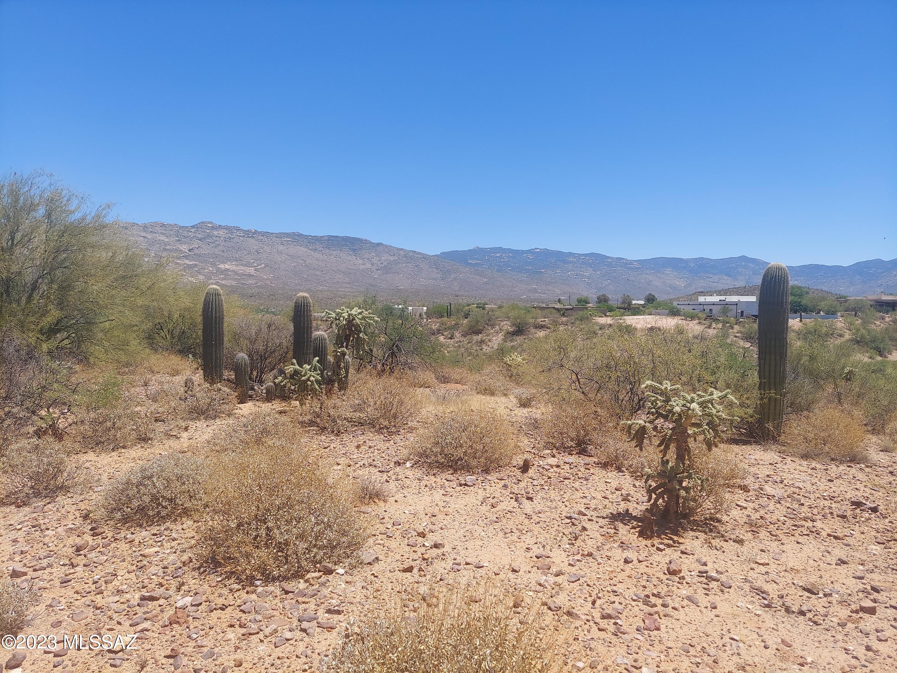 Rincon Desert Estates (1-47) - Land