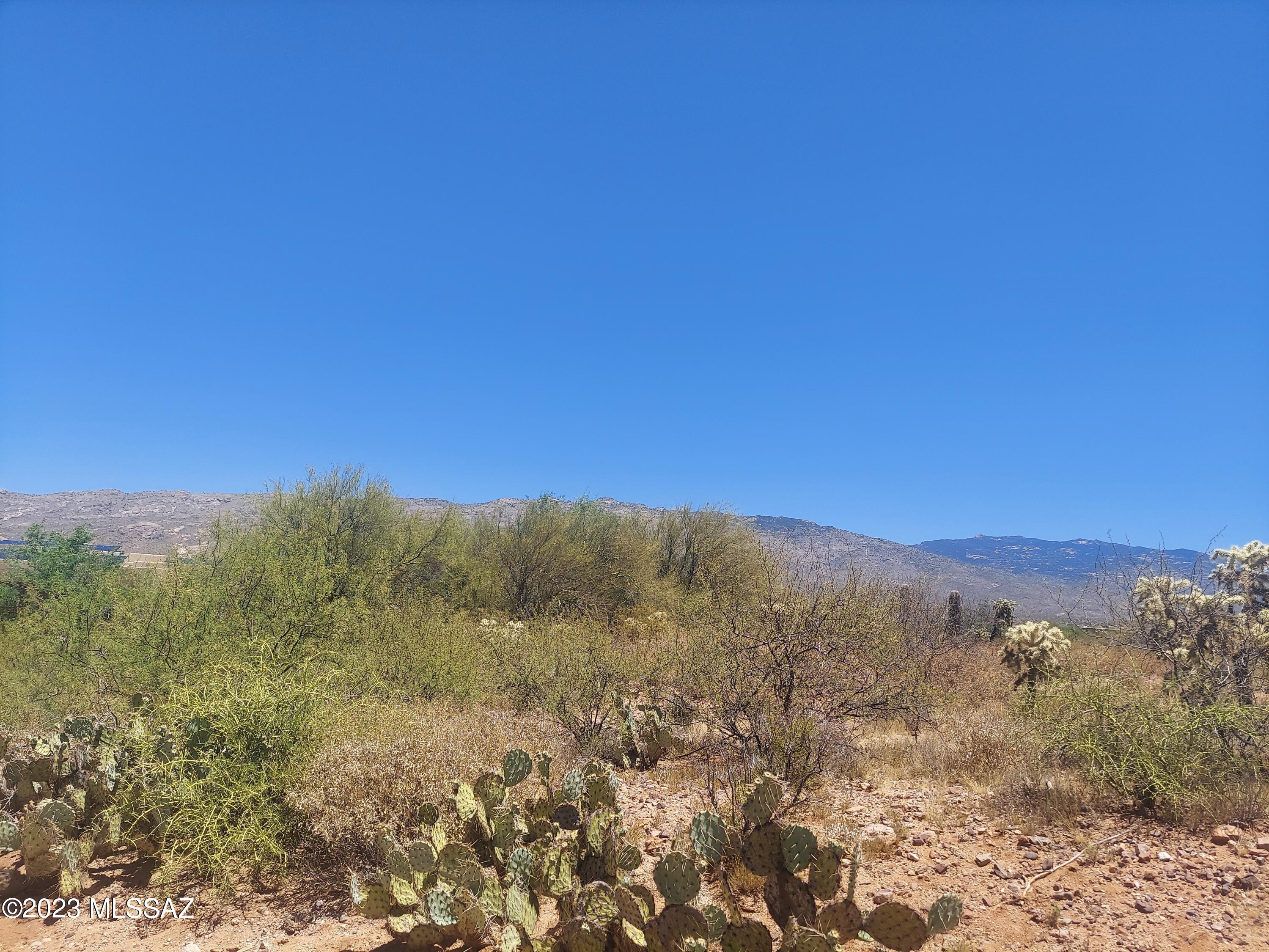 Rincon Desert Estates (1-47) - Land
