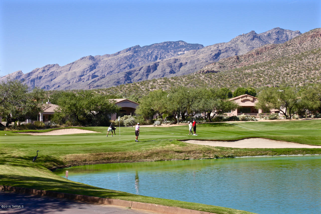 Sabino Ridge (1-54) - Residential