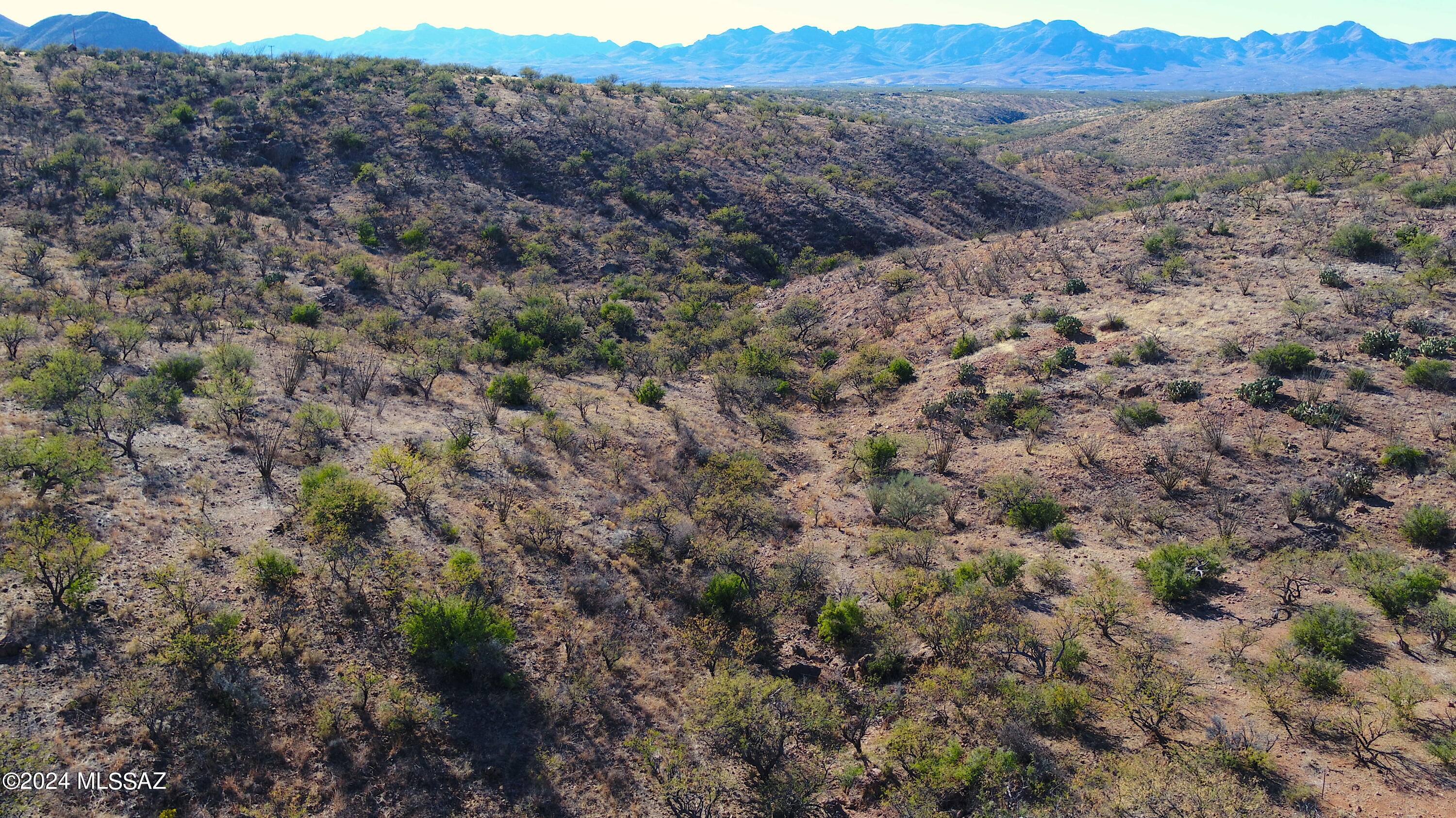 Tubac Foothills Ranch - Land
