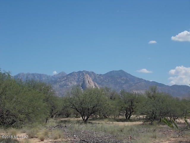 Elephant Head - Land