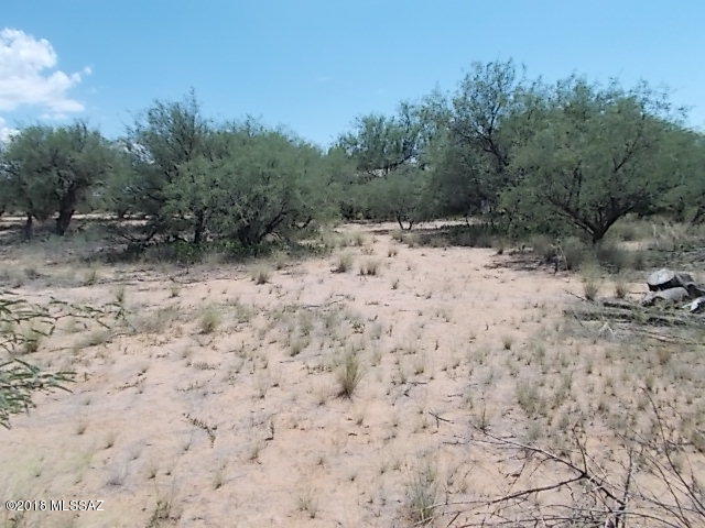 Elephant Head - Land