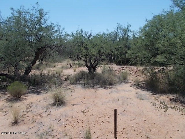 Elephant Head - Land