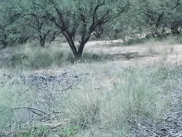Elephant Head - Land