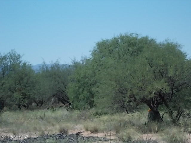 Elephant Head - Land